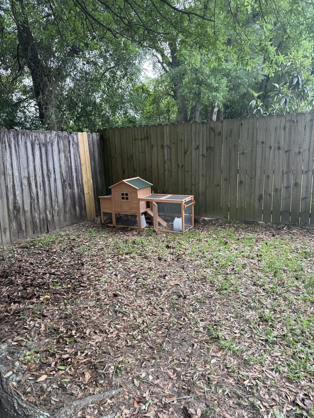 80” Chicken Coop, Waterproof Wooden Hen House for 2-4 Chickens, Outdoor Chicken House with Nesting Box, Removable Tray, PVC Cover, Run, for Garden Backyard Cage customer photo 2