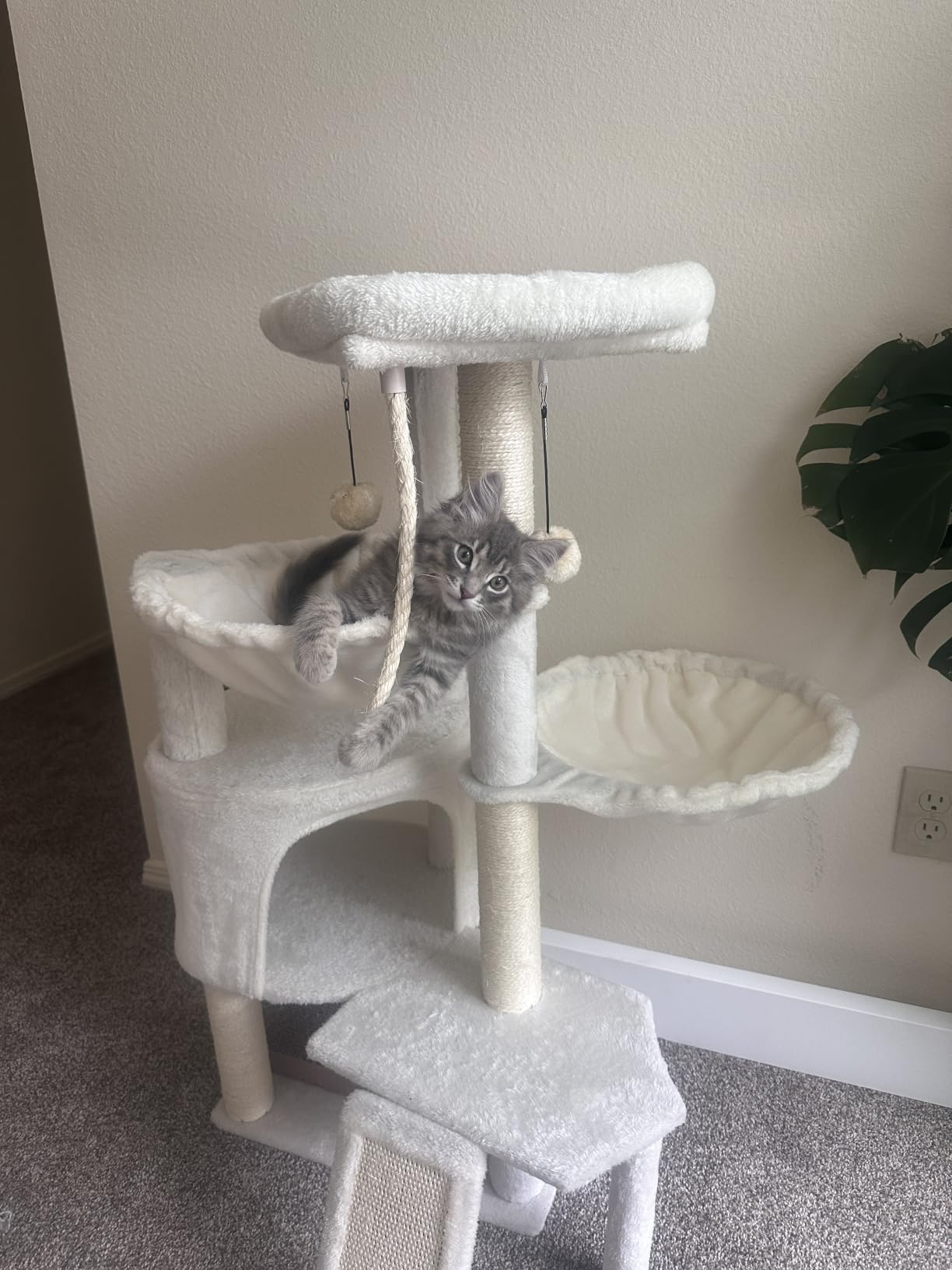 Three Layer Cat Tree with Cat Condo and Two Hammocks,Grey customer photo 1