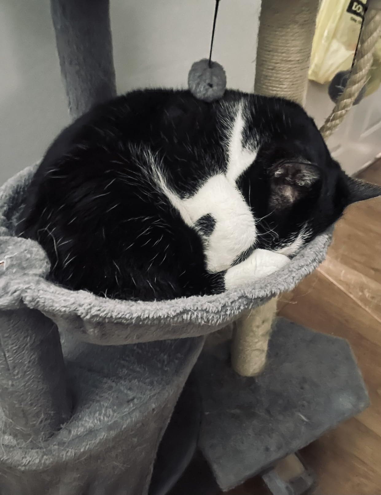 Three Layer Cat Tree with Cat Condo and Two Hammocks,Grey customer photo 2