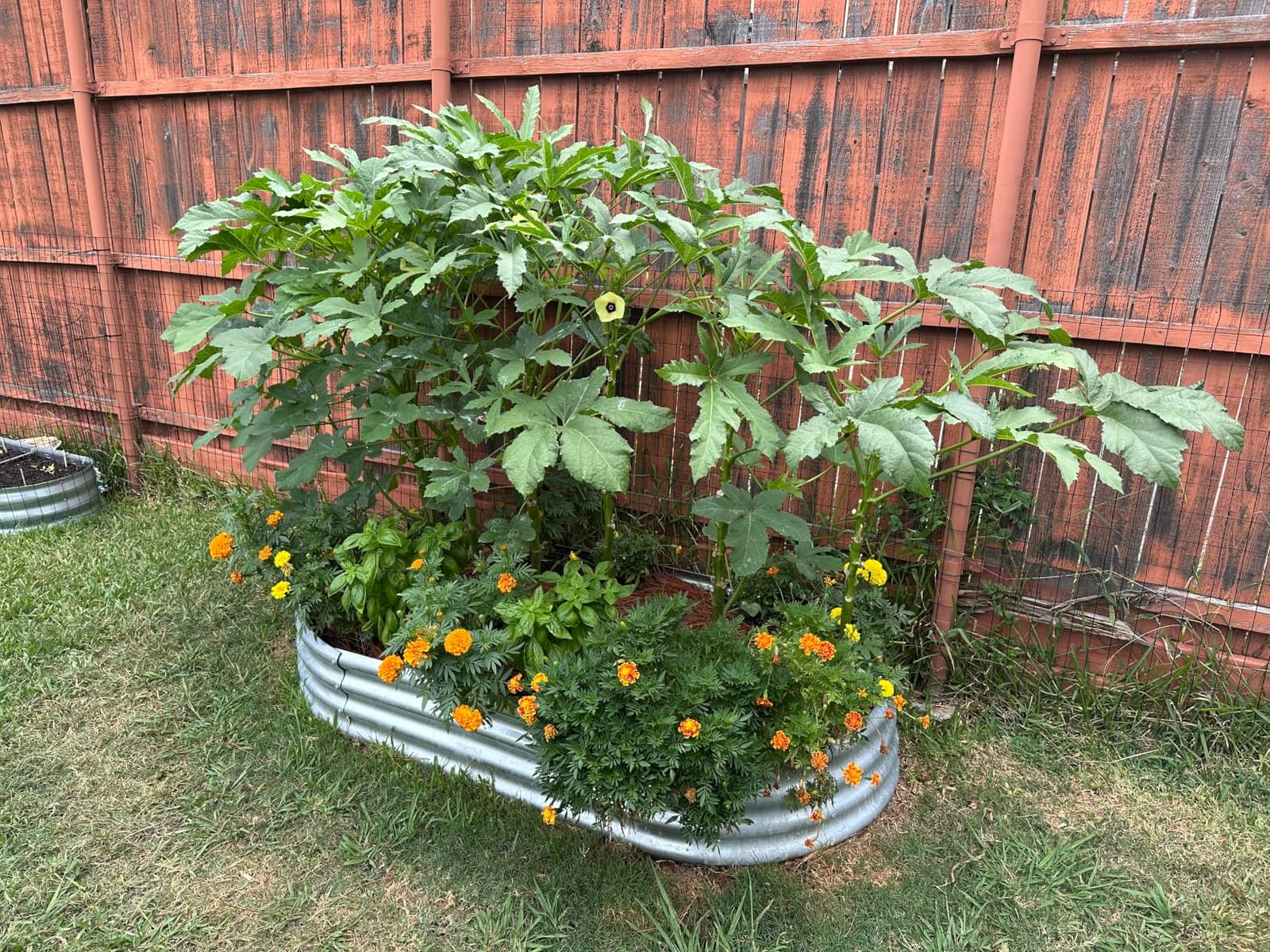 Land Guard 2Pcs Galvanized Steel Raised Garden Bed,8 x 4 x 1 ft Large Metal Raised Planter Beds, Aluminum Raised Garden Bed for Vegetables, 8 x 4 x 1ft(2pcs) customer photo 1