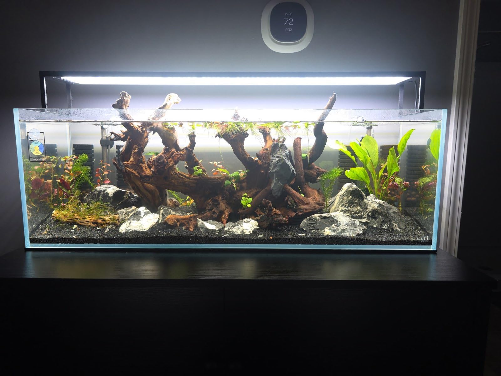 UNS Ultra Clear Rimless Tank - 3.4GAL | 13L - 17.71x6.69x6.69 | 45x17x17 CM, 5mm Glass Thickness, Leveling Mat Included - Low Iron, High Clarity Fish Tank w/ 45° Mitered Edge - [45L] customer photo 2