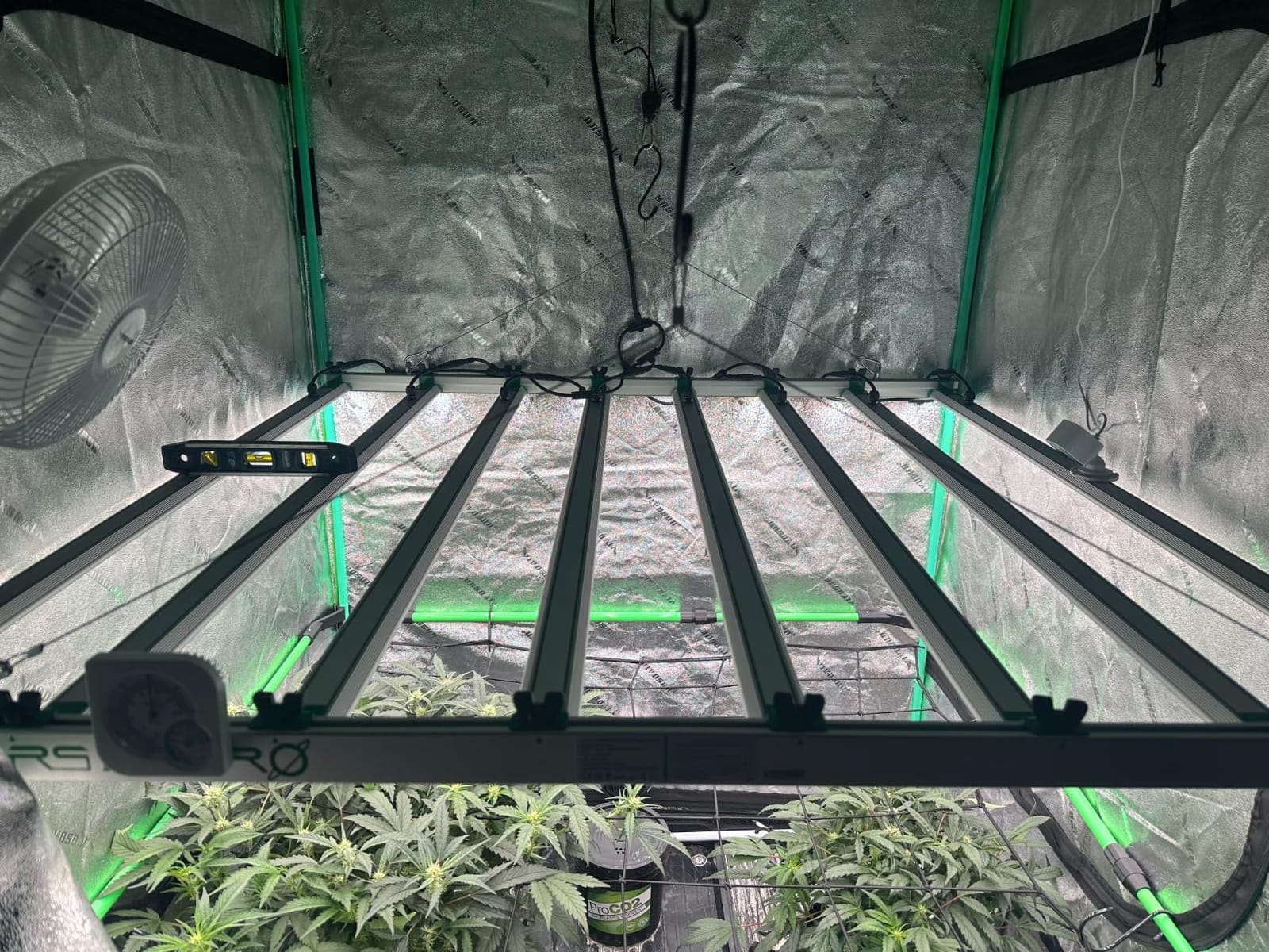 Mars Hydro FC-8000 800W 5x5 LED Grow Light Full Spectrum for Indoor Plants customer photo 1