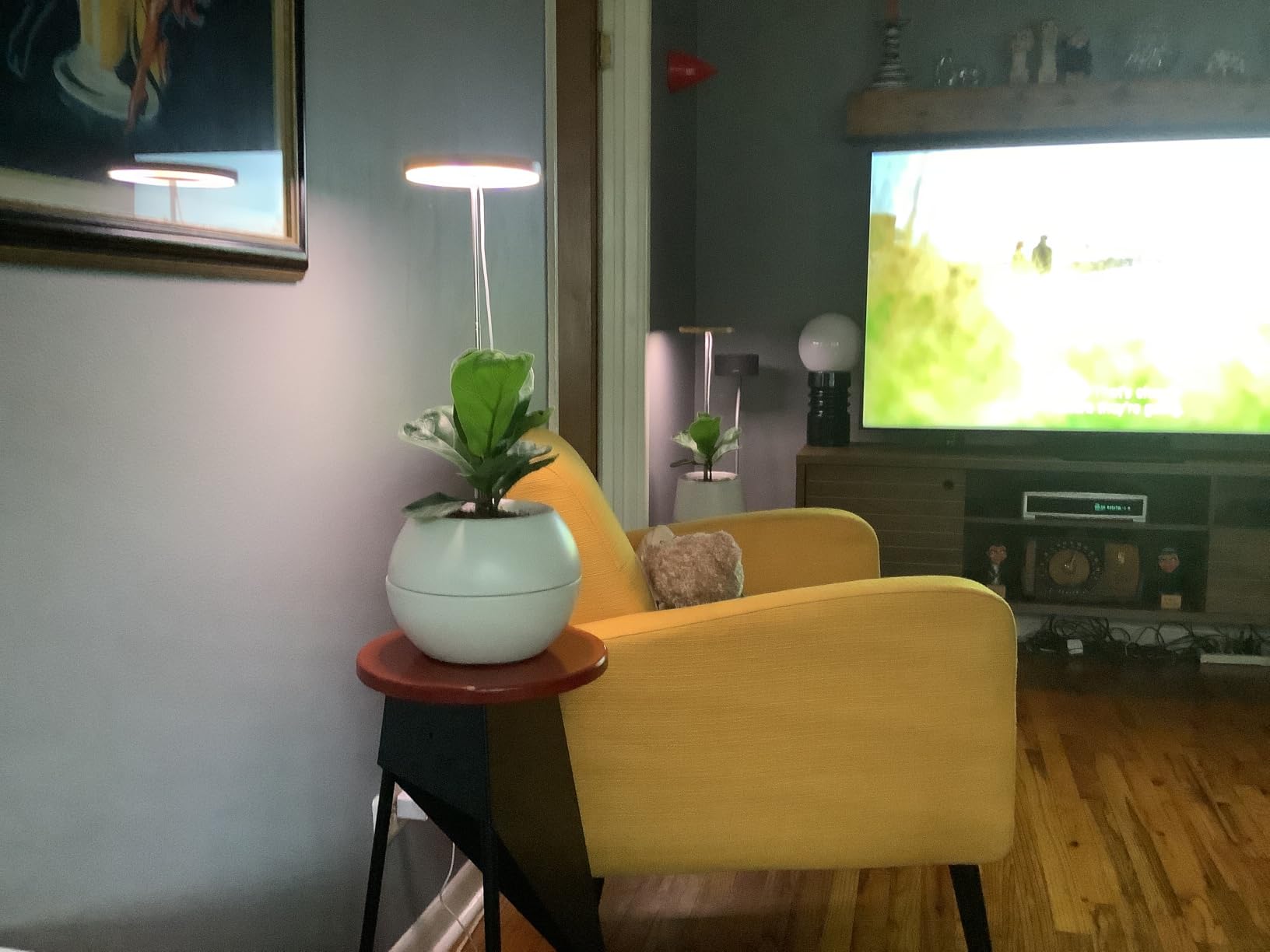 LORDEM Full Spectrum LED Grow Light for Indoor Plants customer photo 1