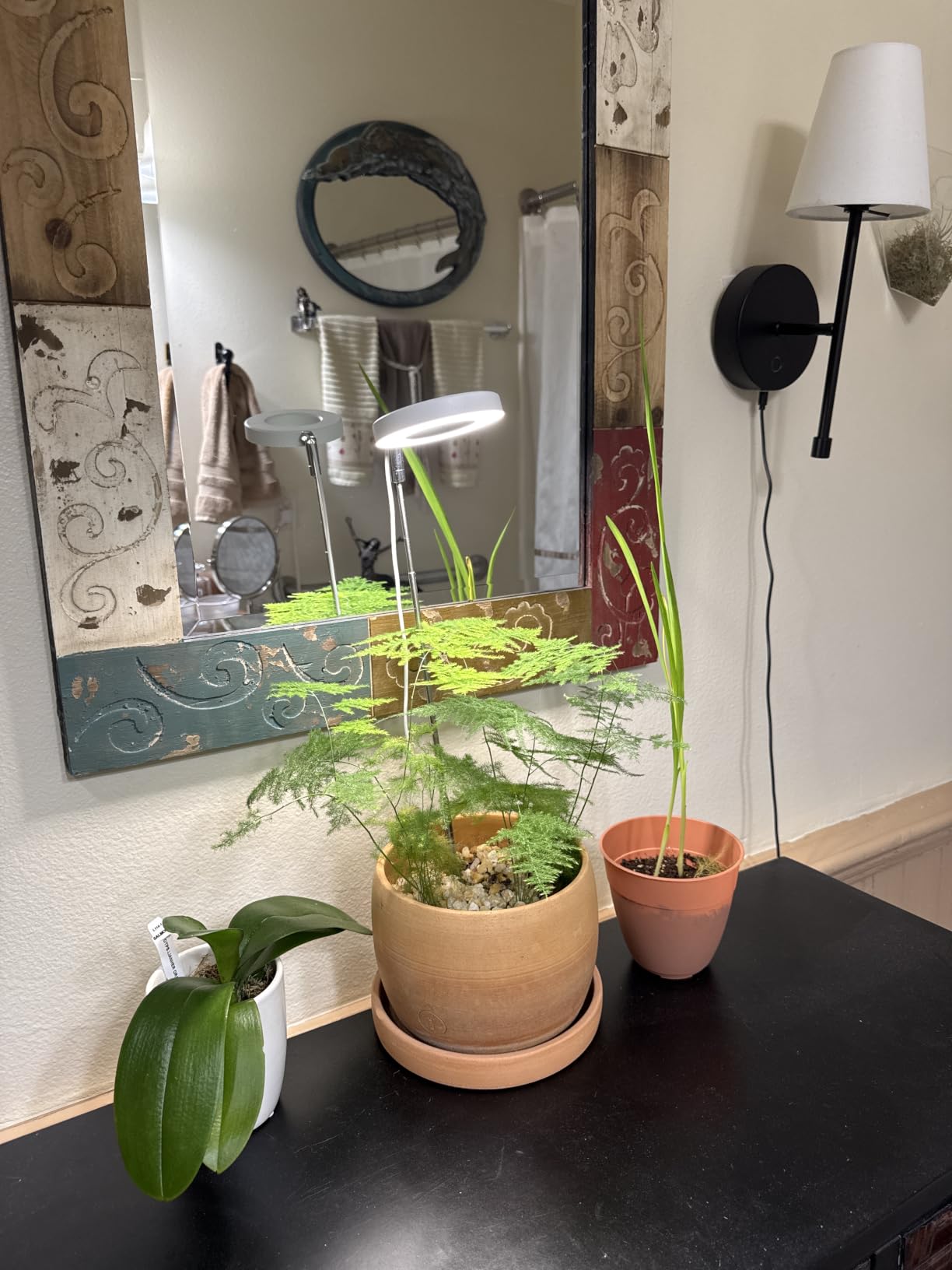 LORDEM Full Spectrum LED Grow Light for Indoor Plants customer photo 2