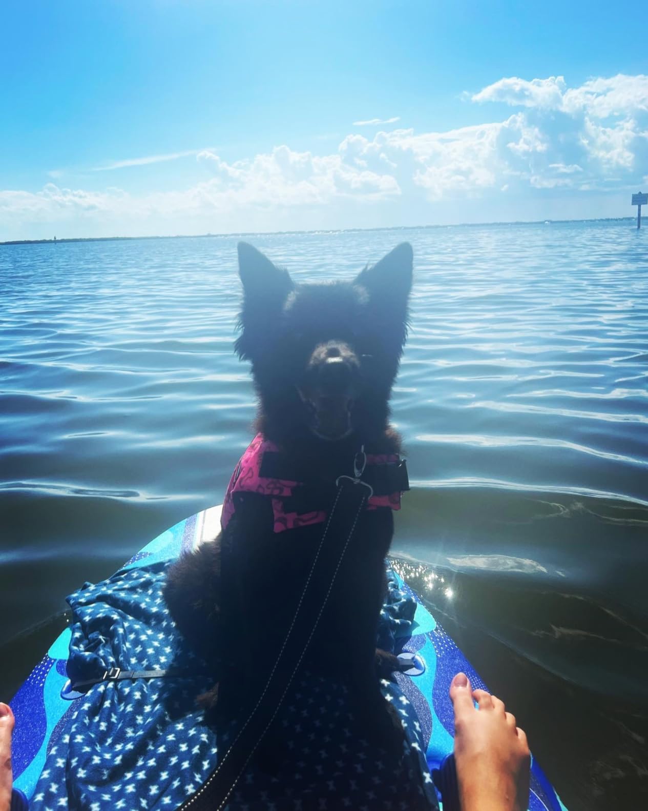 WAVESTORM 9ft6 SUP Kayak Hybrid Stand Up Paddleboard Foam Soft Top SUP for Adults and Kids of All Levels of Paddling Kayak, Blue customer photo 2