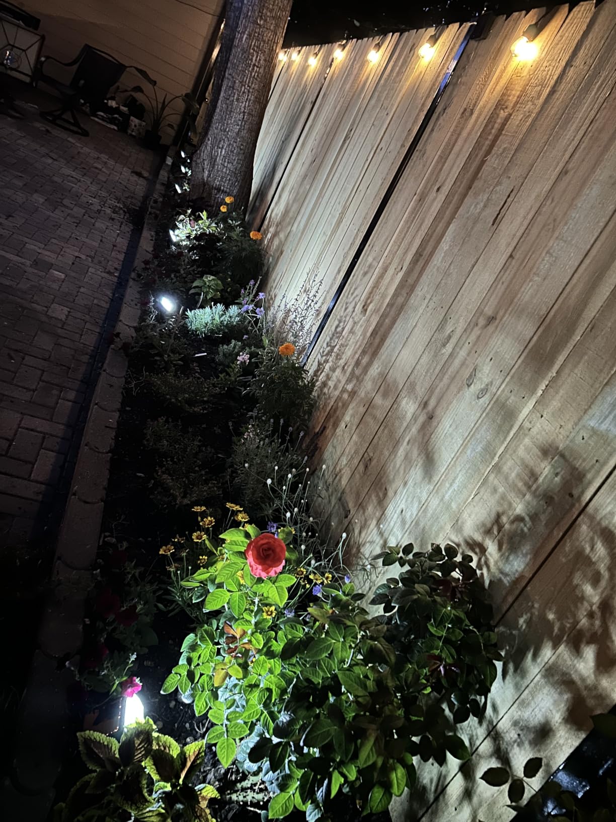 WELALO Solar Light Outdoor, IP68 Waterproof, Cool White, 6 Pack customer photo 1