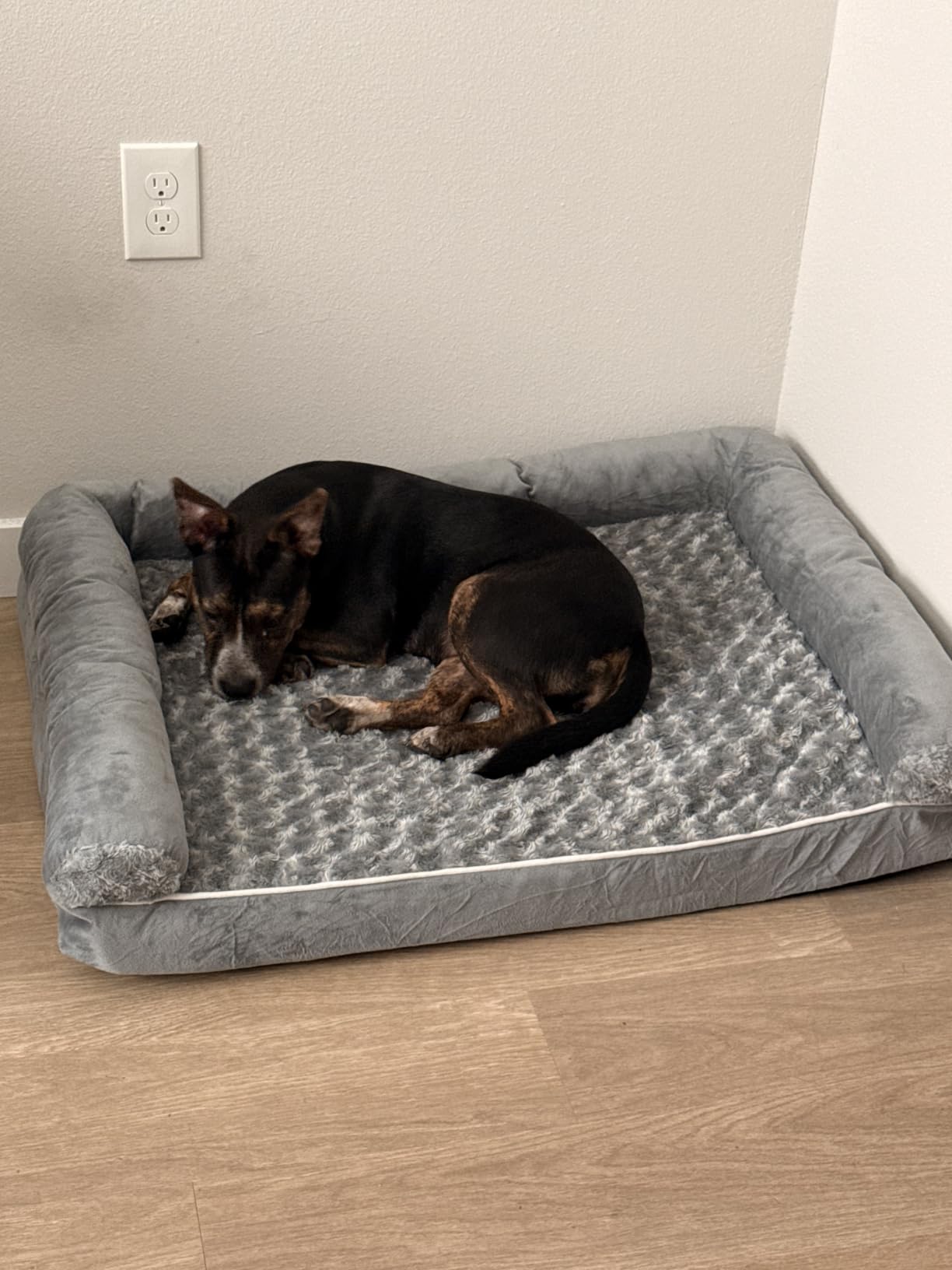 BFPETHOME Orthopedic Washable Large Dog Bed for Senior Dog Comfy Sleep customer photo 2
