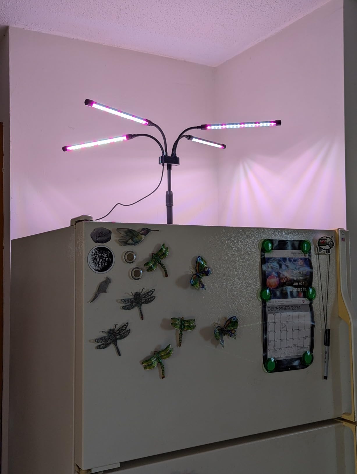 SYEIORAOM Grow Lights for Indoor Plants, Four Head LED Grow Light with Full Spectrum, Red White Spectrum for Indoor Plant Lamp, Adjustable Gooseneck, Suitable for Vegetation customer photo 1