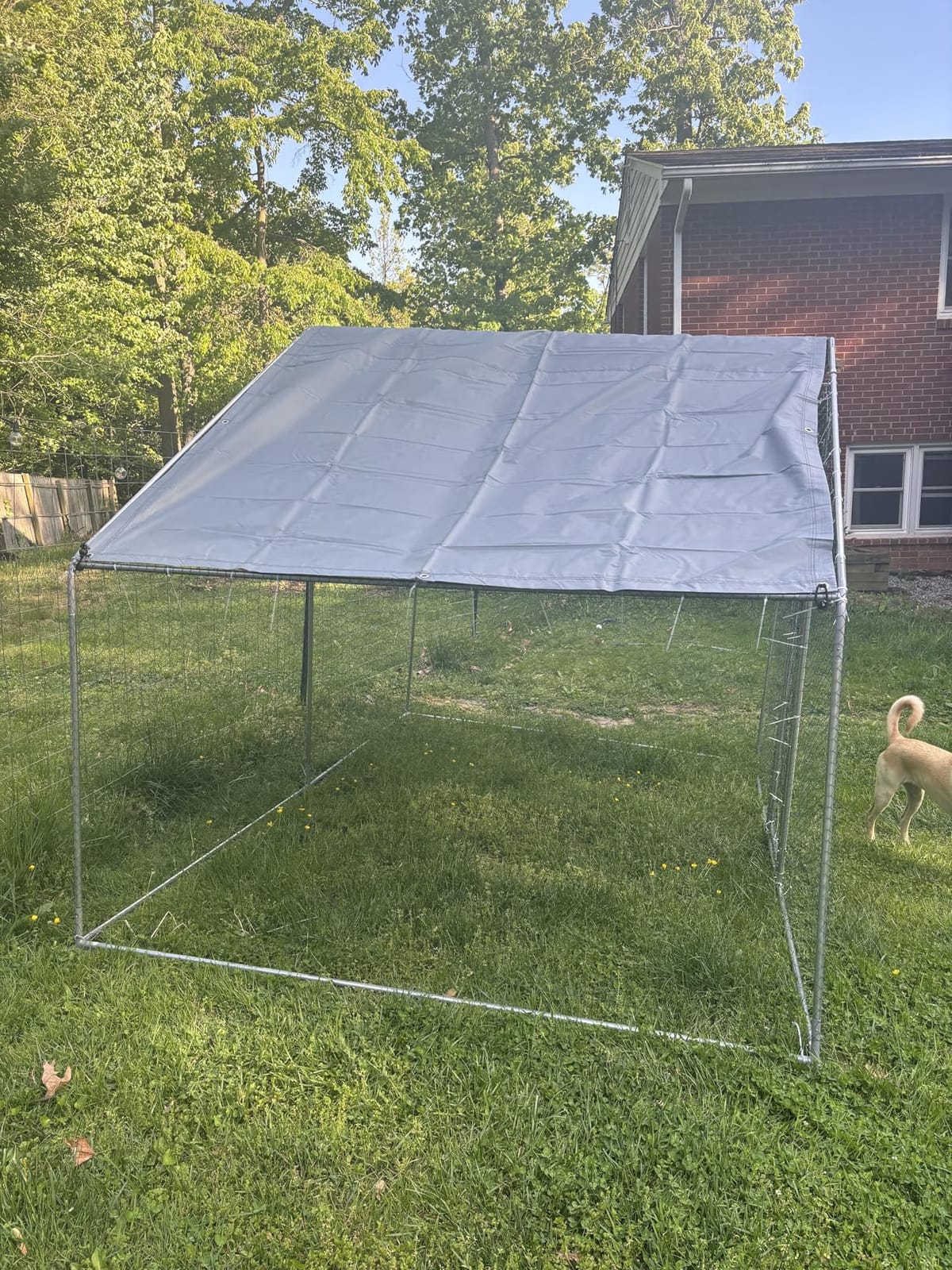 Large Metal Chicken Coop Round Top Upgrade Tri-Supporting Wire Mesh Chicken Run,Chicken Pen with Water-Resident and Anti-UV Cover,Duck Rabbit House Outdoor (6.6'L x 9'W x 6.5'H) customer photo 2