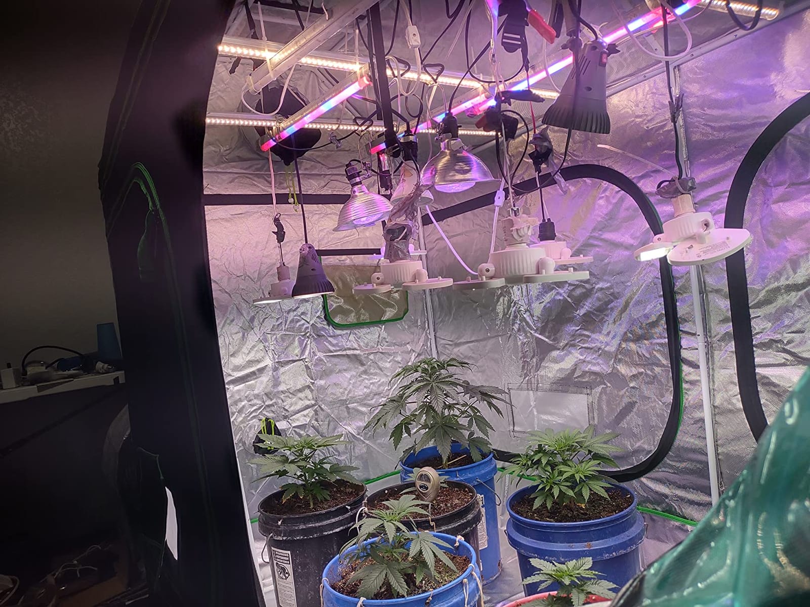 2x2 Green Hut Grow Tent 24