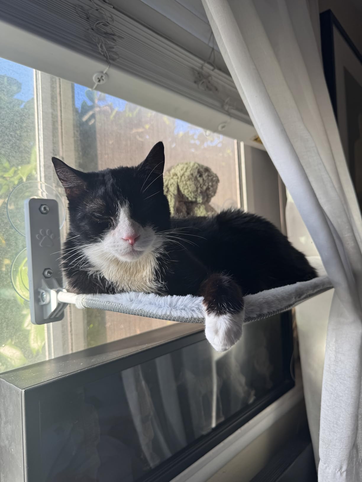 AMOSIJOY Foldable Cat Window Perch with Metal Frame, L Gray customer photo 1