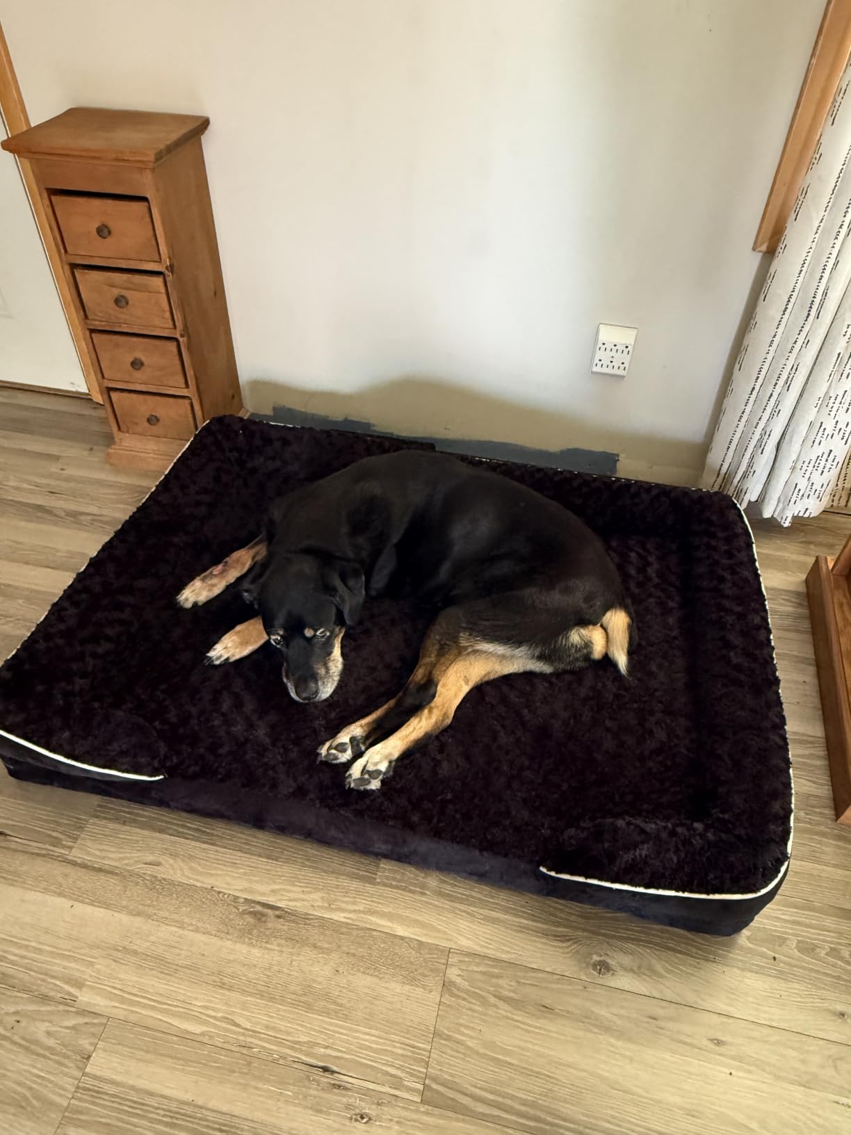 WNPETHOME Orthopedic Washable Dog Bed Large for Senior Dog Cozy Sleep customer photo 2