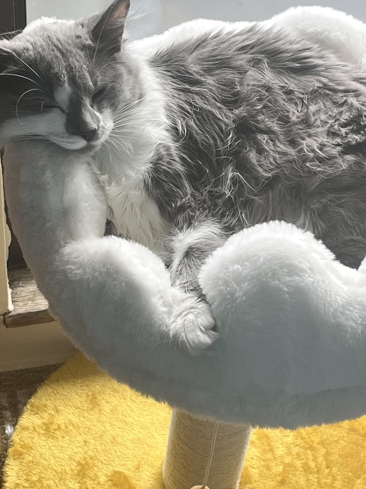 Happi N Pets Cloud Cat Tree, Cat Scratching Post with Soft Bed for Kitten customer photo 2