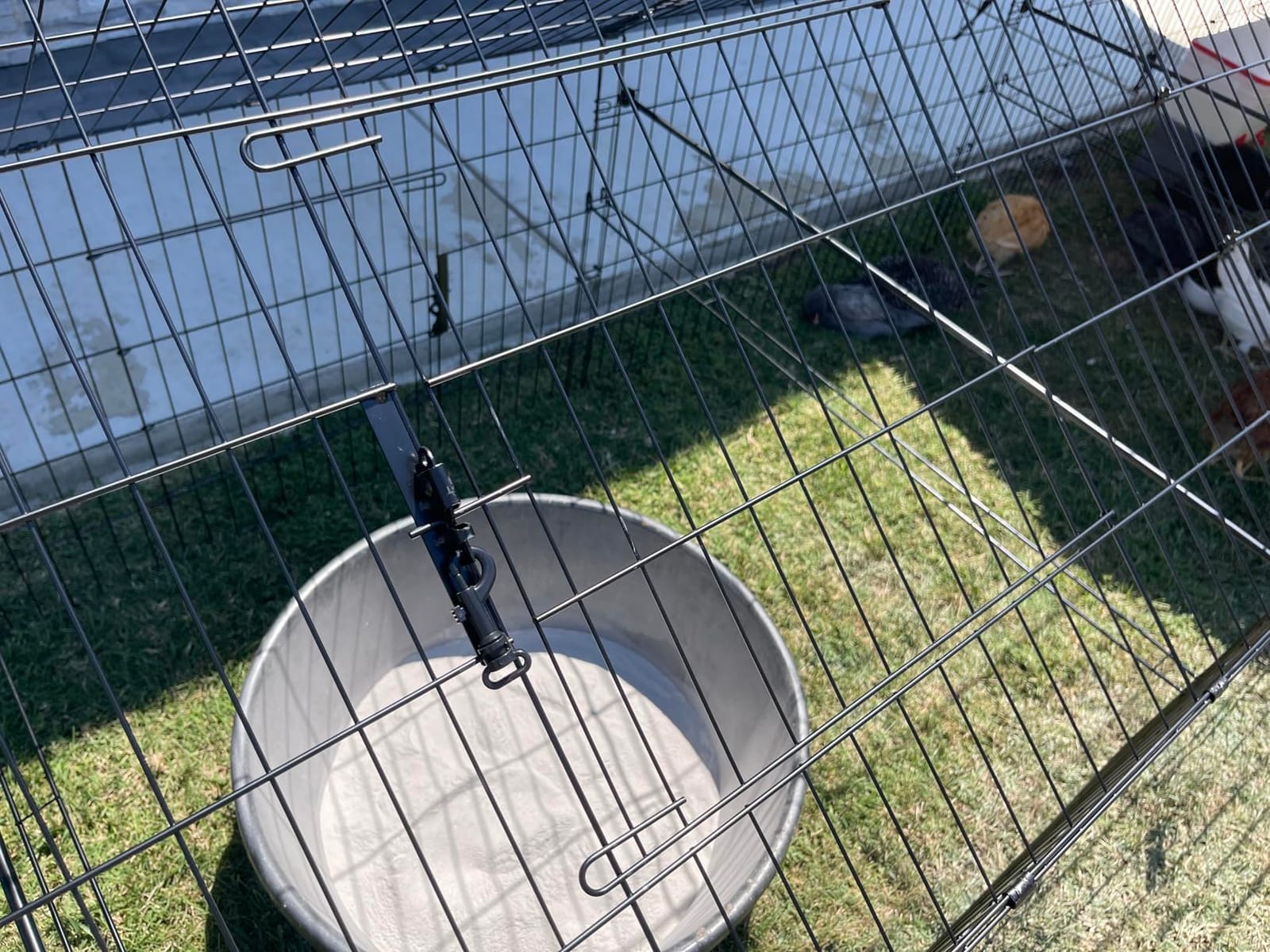 Chicken Coop, 86