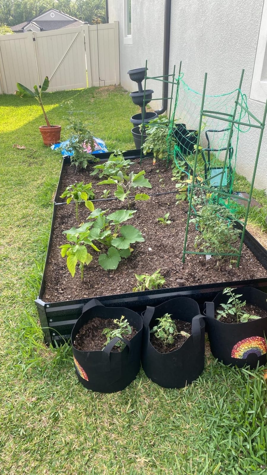 ONCEMORE Galvanized Raised Garden Bed for Vegetables Flowers Herbs, Metal Raised Garden Bed Kit with 2 PCS Tomato Cage, Gloves, Trellis Netting, Plant Labels, Plant Ties, Black 6×3×1FT customer photo 1