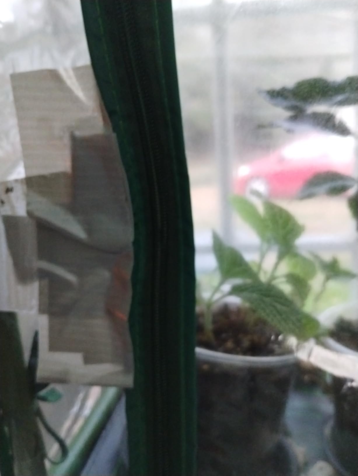Mini Indoor Greenhouse Tabletop Garden Humidity Domes for Seedling customer photo 2