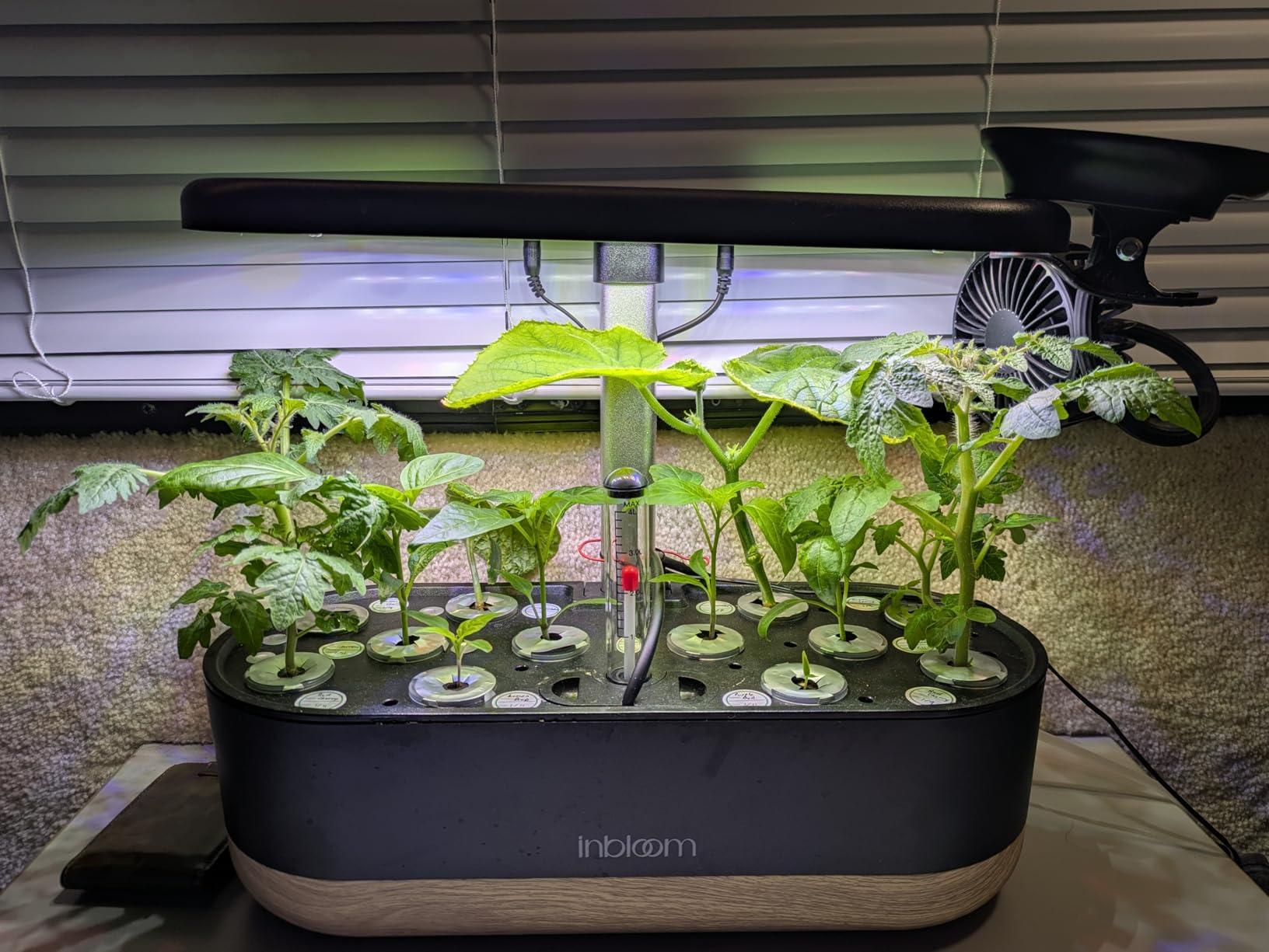 inbloom Hydroponics Growing System 12 Pods, Indoor Herb Garden with LEDs Full-Spectrum Plant Grow Light, Water Shortage Alarm, Automatic Timer, Height Adjustable, Ideal Gardening Gifts for Women customer photo 1