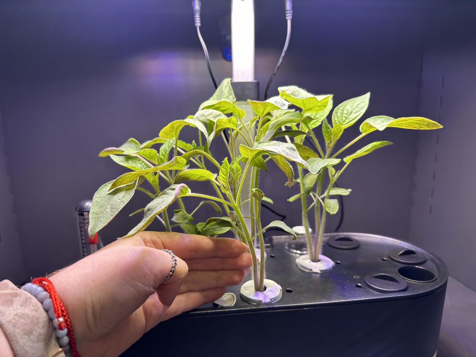 inbloom Hydroponics Growing System 12 Pods, Indoor Herb Garden with LEDs Full-Spectrum Plant Grow Light, Water Shortage Alarm, Automatic Timer, Height Adjustable, Ideal Gardening Gifts for Women customer photo 2