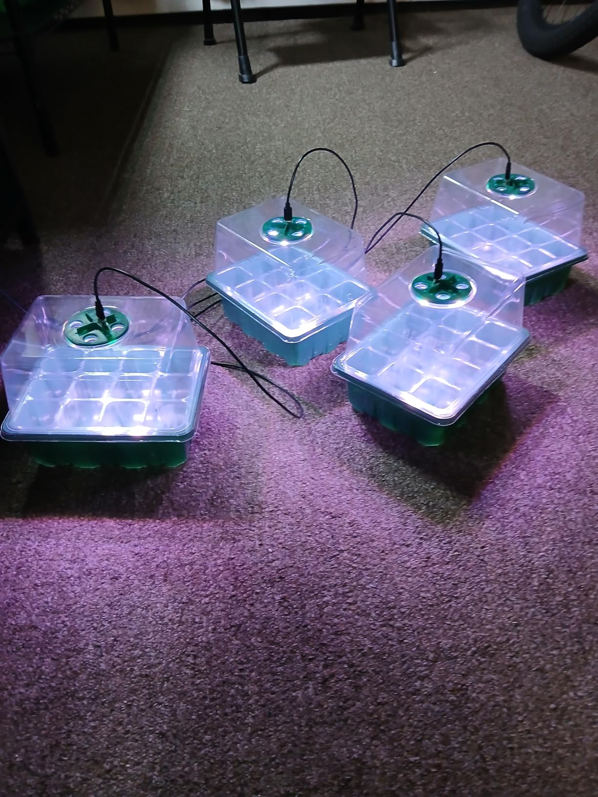 YAUNGEL Seed Starter Tray with Grow Light, 6 Pack Seed Starter Kit with Timing Controller Adjustable Brightness, Thicken Seedling Starter Trays with Humidity Domes Heightened Lids, Gift Box customer photo 2