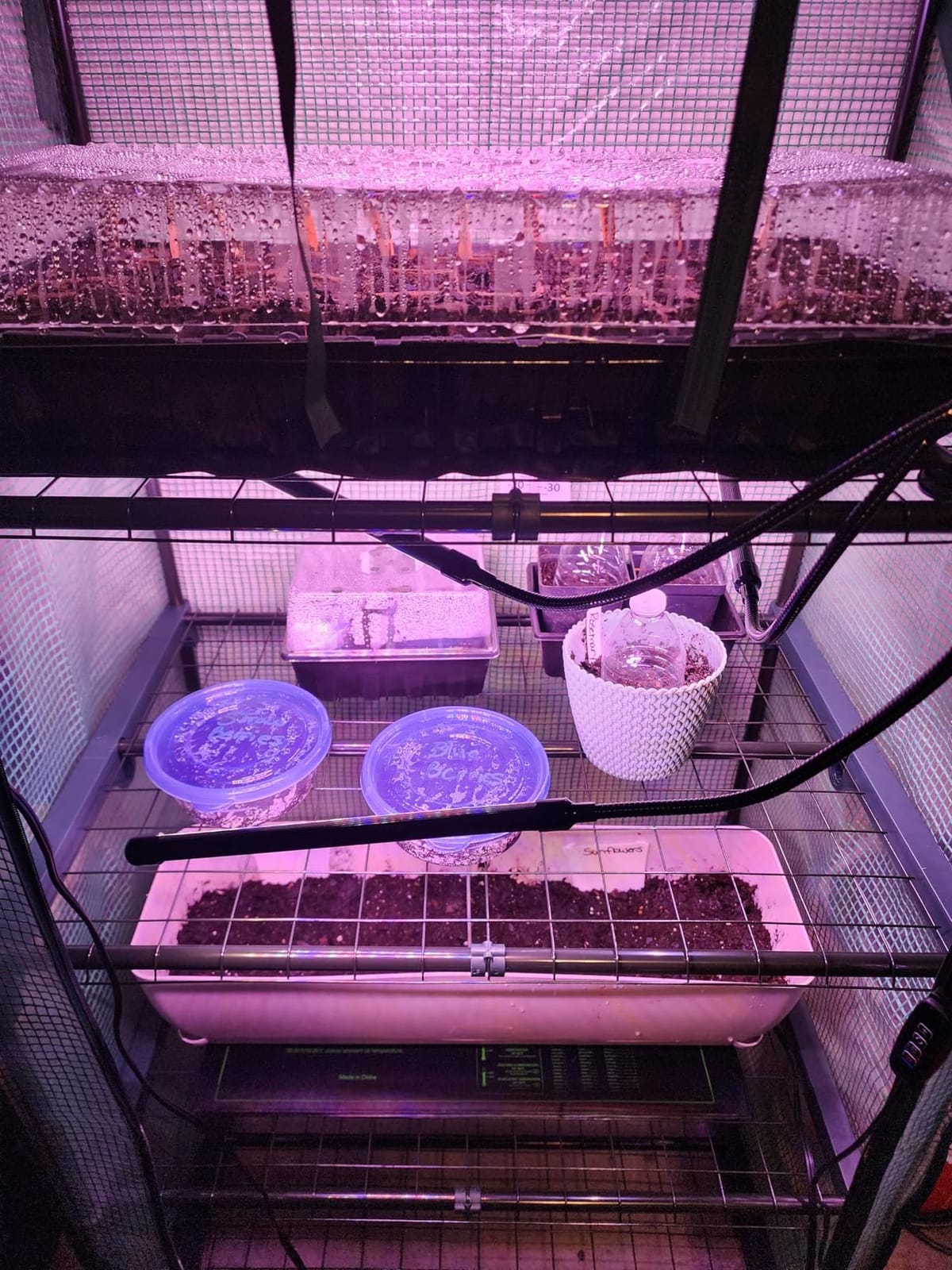 Mini Greenhouse for Outdoors Indoor: 27 x 19 x 62-Inch Ohuhu Small Green House with 4 Tier Shelves, Portable Plastic Greenhouses with Heavy Duty Transparent PVC Cover for Seedling Patio Porch Balcony customer photo 2