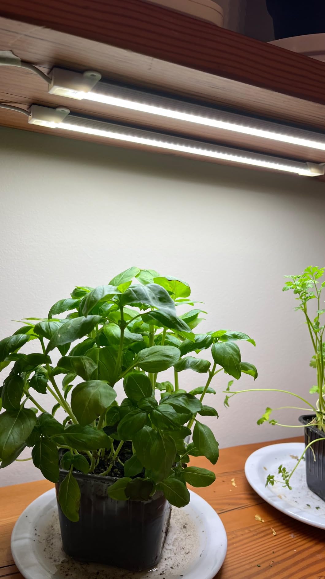 Mosthink Indoor Grow Strip Lights for Under Shelf Cabinet Plants customer photo 1