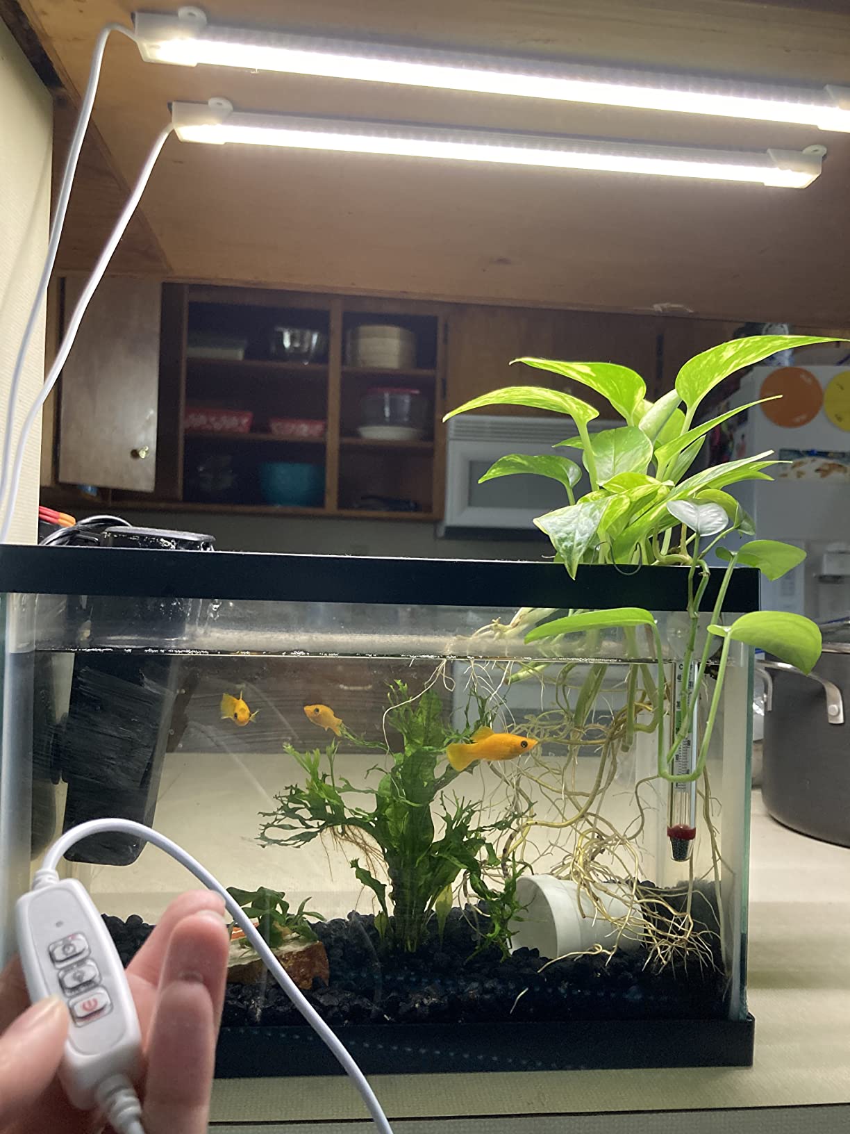 Mosthink Indoor Grow Strip Lights for Under Shelf Cabinet Plants customer photo 2