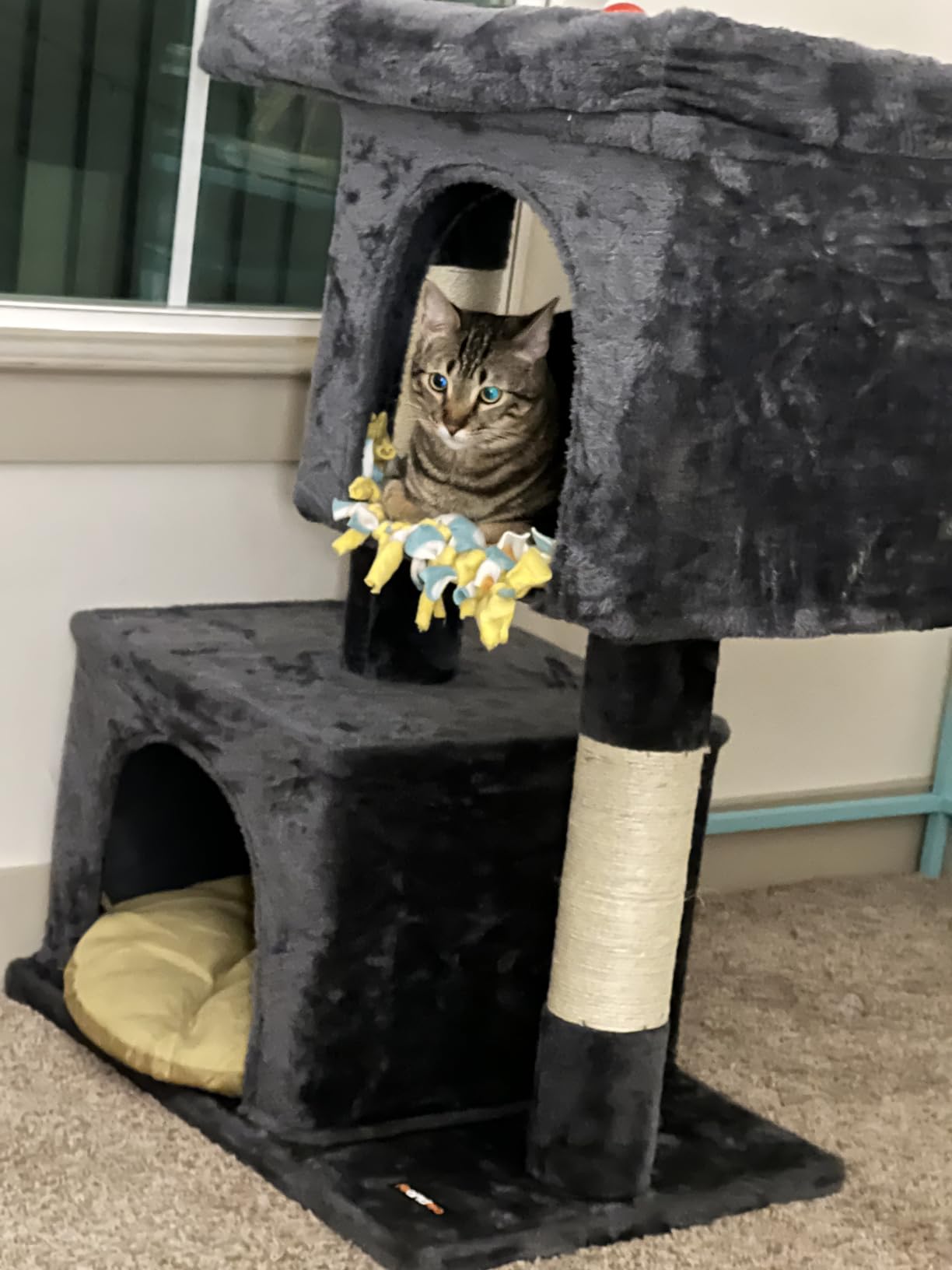 Feandrea Cat Tree, 26.4-Inch Small Cat Tower, Cute Plush Condo, Light Gray customer photo 1