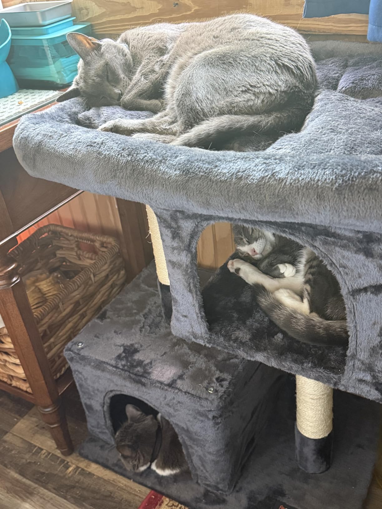 Feandrea Cat Tree, 26.4-Inch Small Cat Tower, Cute Plush Condo, Light Gray customer photo 2