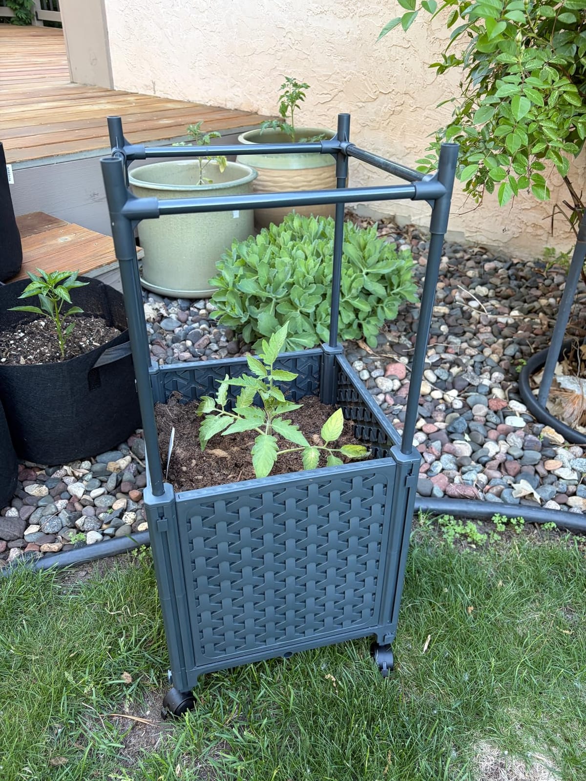 LINEX Raised Garden Bed Planter Box with Trellis, 67.6” Tomato Planters for Climbing Plants Vegetable Vine Flowers Outdoor Patio, Tomatoes Cage w/Self-Watering & Wheels customer photo 1