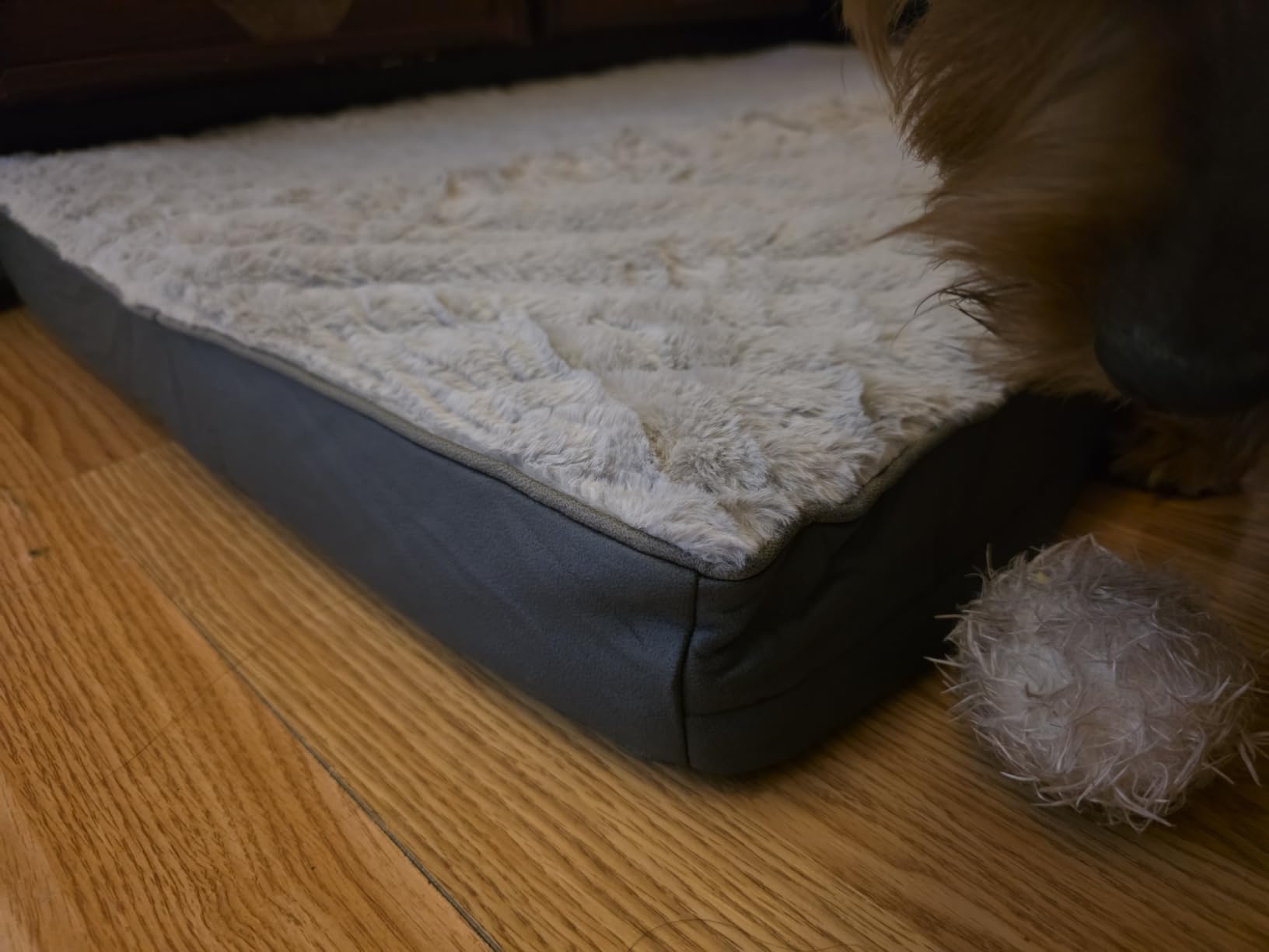 Sunheir Washable Orthopedic Large Dog Bed with Removable Cover, Pet Bed Mat customer photo 2