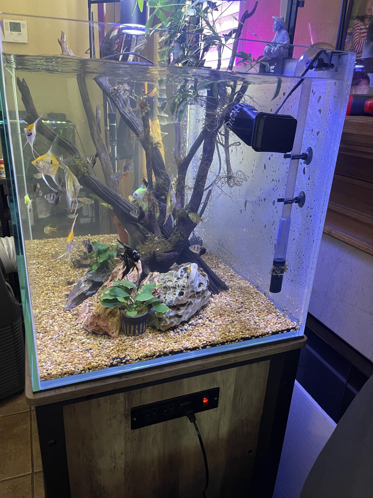 LANDEN Aquarium 150P 118 Gallon Ultra Clear Glass Rimless Fish Tank customer photo 2