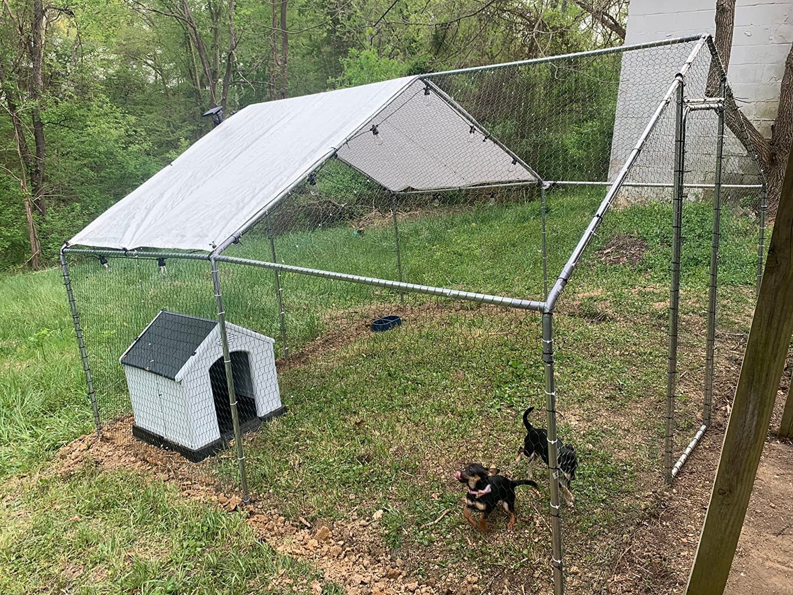 Morngardo 10×10×6.5 FT Metal Chicken Coop, Walk-in Chicken Run for 20 Chickens, Galvanized Steel Frame with Waterproof UV-Resistant Cover, Poultry Cage Pen for Duck Rabbit (96.8 Square Feet) customer photo 2