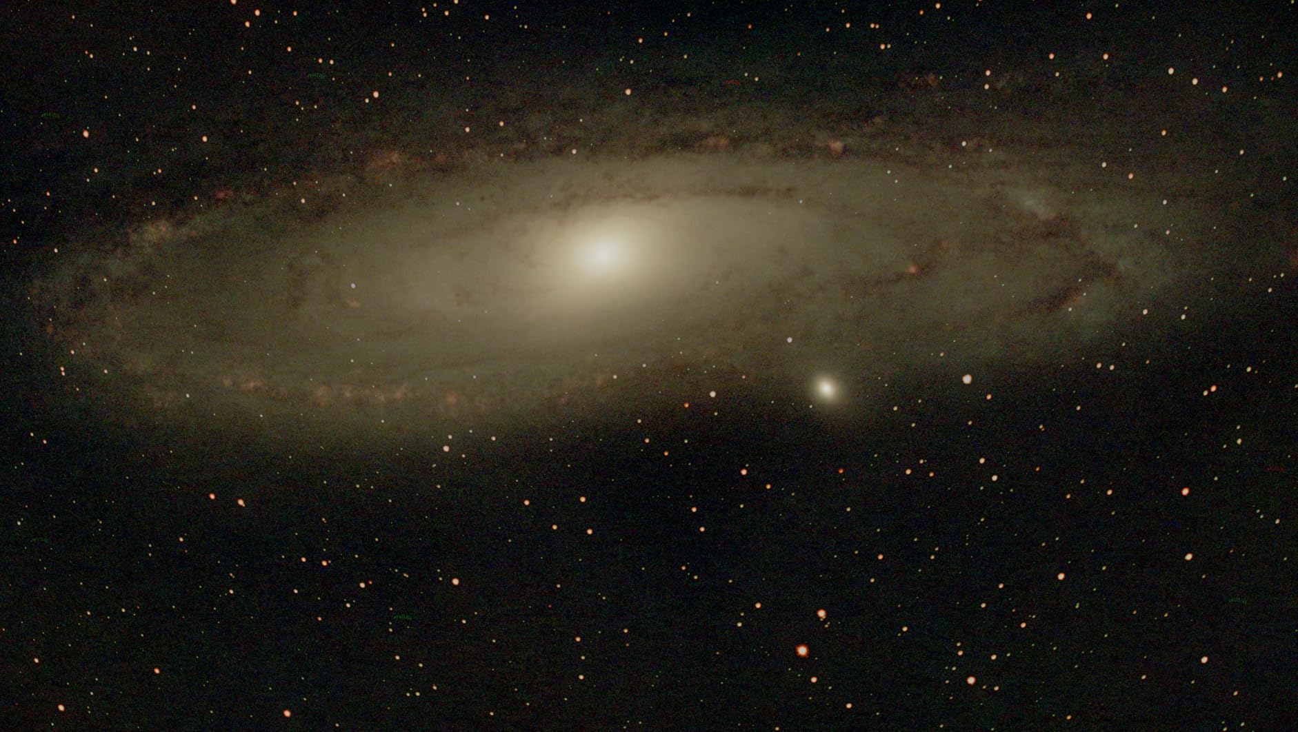 SVBONY SV220 Telescope Filter, 2