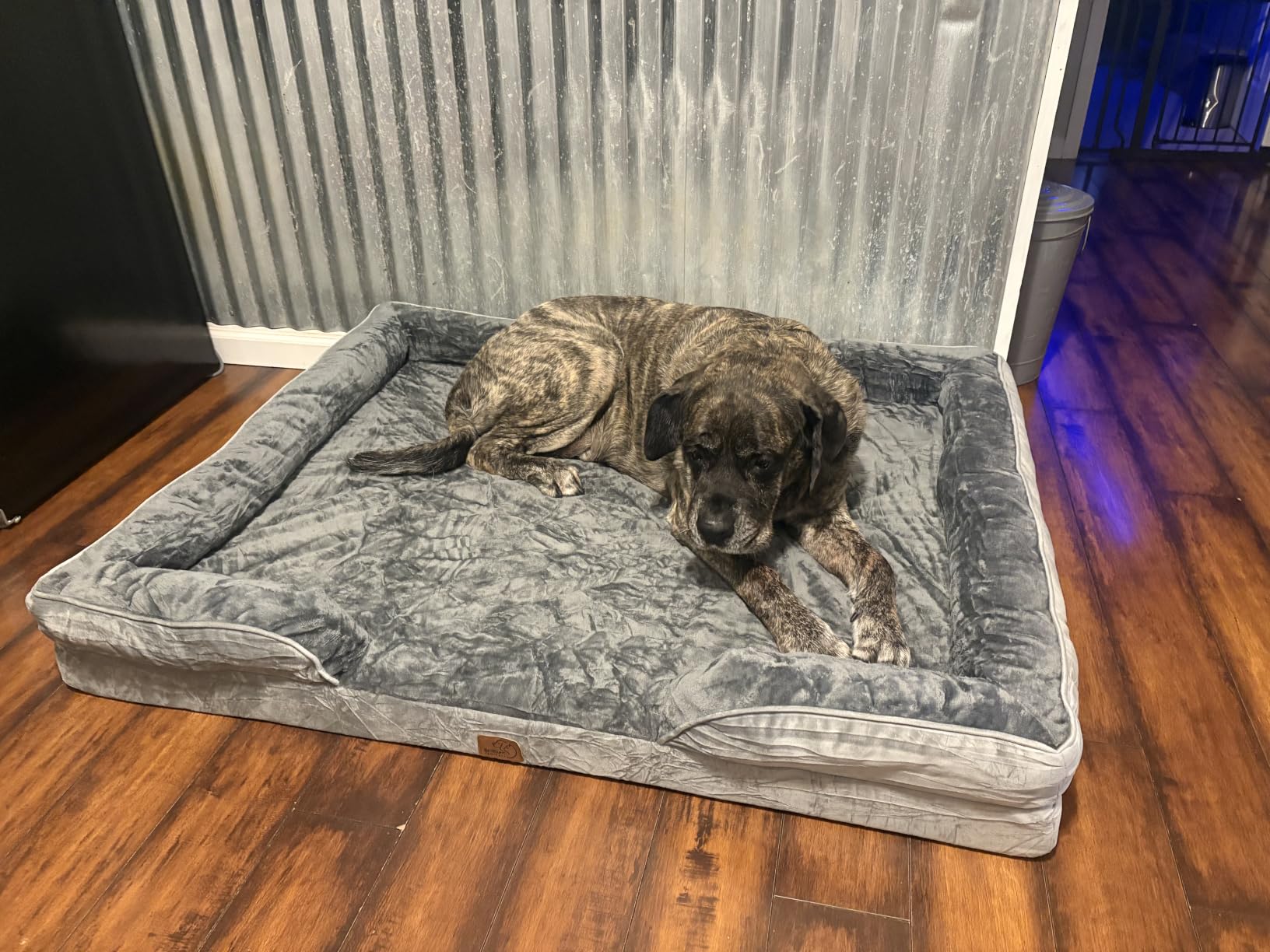 Bedsure Orthopedic Dog Beds Large Sized Dog Washable Original Design customer photo 2