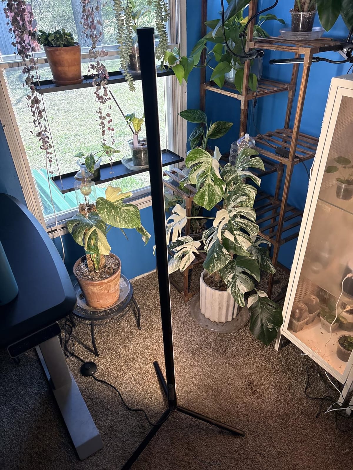 Barrina T10 Vertical Grow Light, 4FT 42W, Full Spectrum, High PPFD customer photo 2