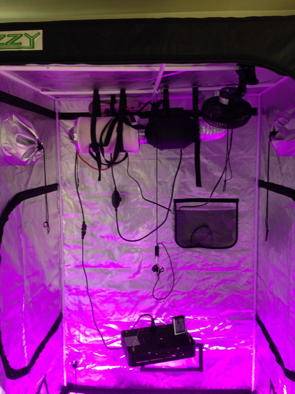 zazzy 8x8 Large Grow Tent 96