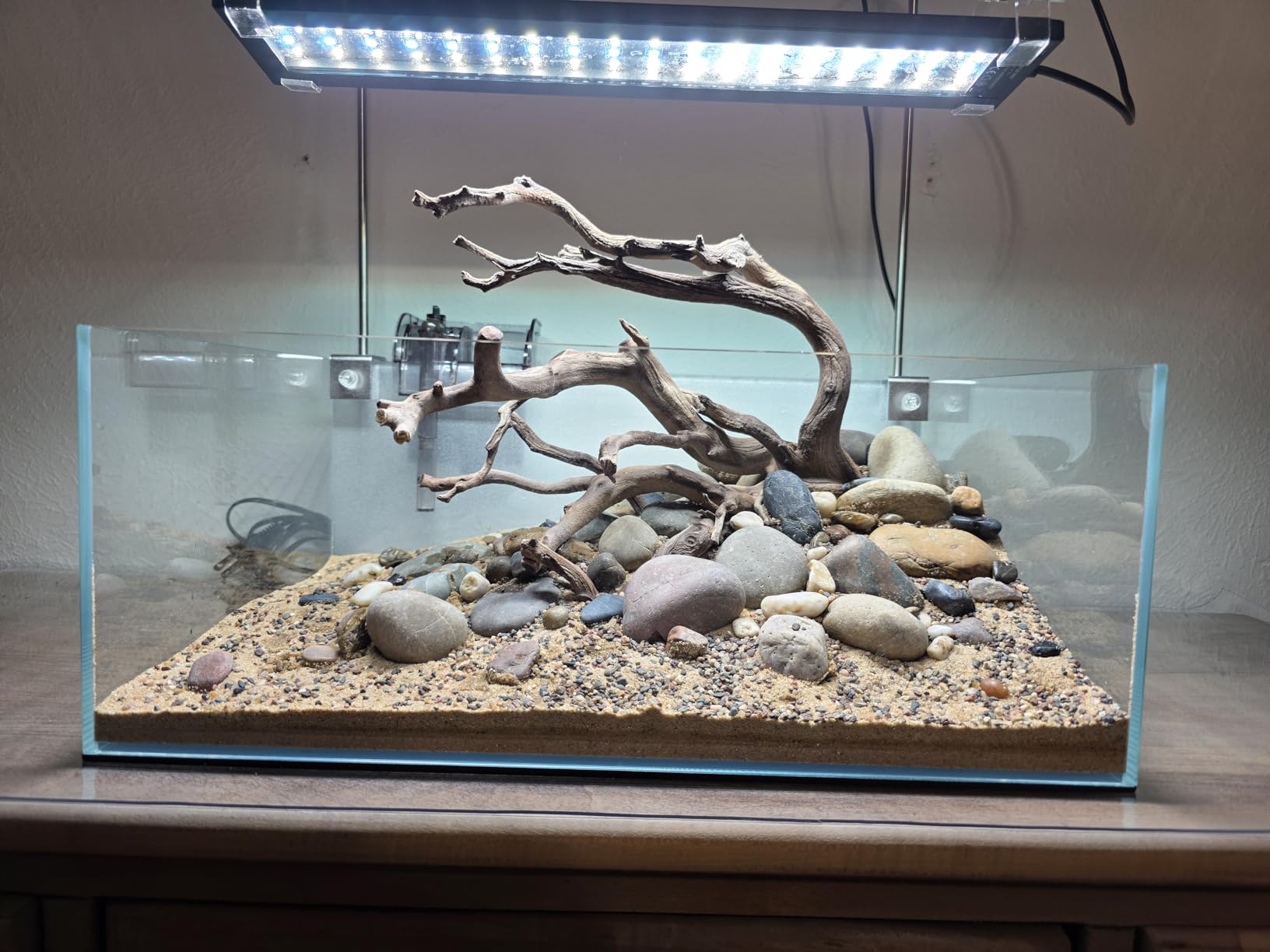 FZONE 6.4Gal Shallow Rimless Aquarium, Ultra-White Glass (L45-W30) customer photo 1