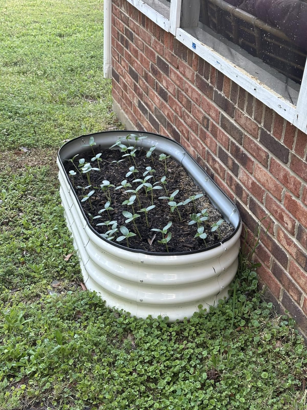 SnugNiture Raised Garden Bed Outdoor 4x2x1ft, 2 Pack customer photo 1