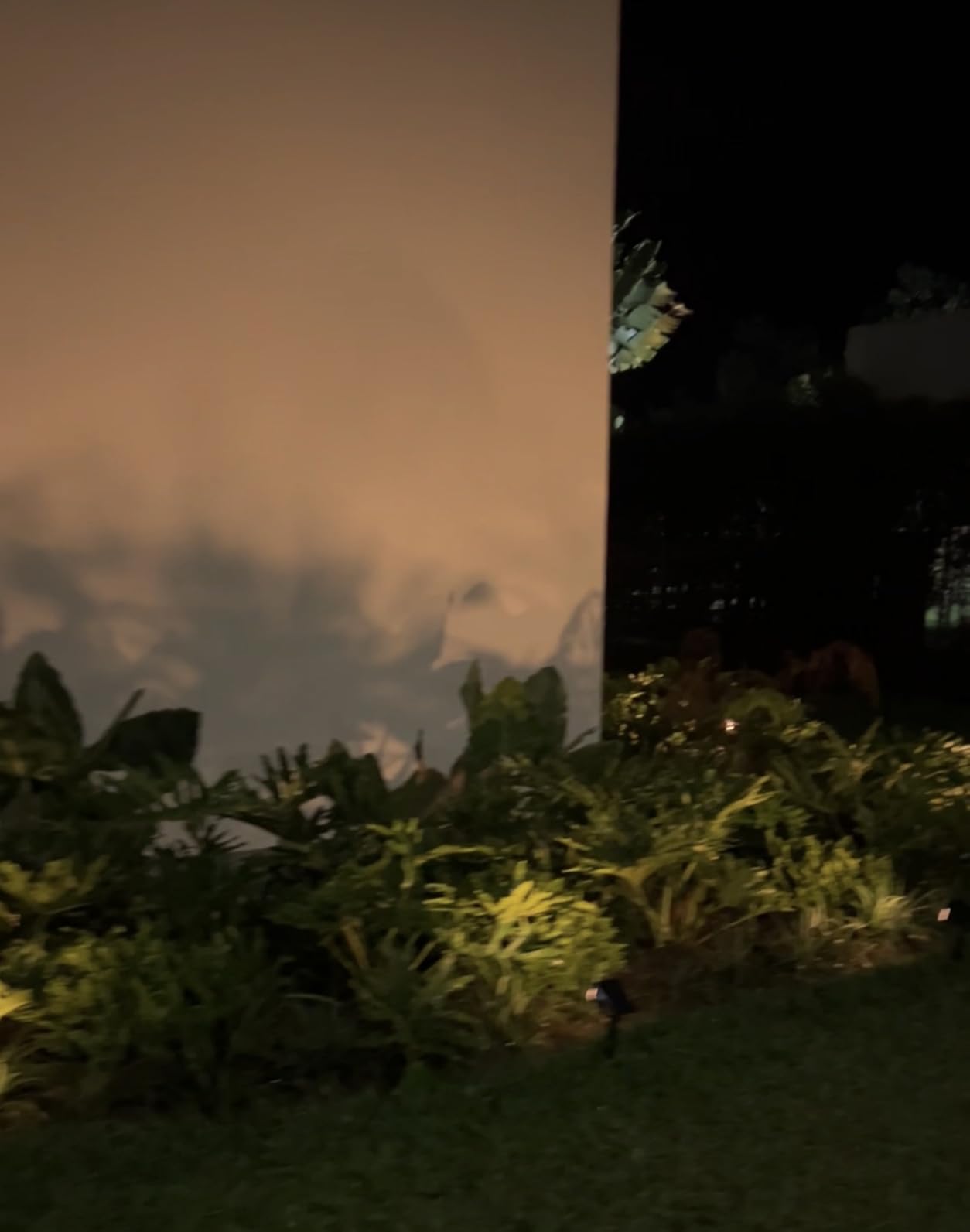 WENATY Solar Spot Lights Outdoor Waterproof Spotlights 12 Pack Warm White | 46LED, 3 Mode, Auto On/Off Landscape Spotlights Solar Powered Flood Lights for Outside Pathway Yard Garden House Walkway Tree customer photo 1