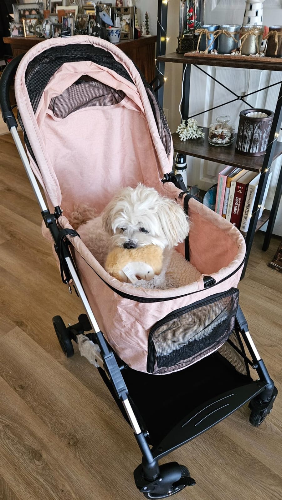 Medium Dog Stroller, Kenyone Pet Stroller for Medium Dogs Up to 55lbs, Lightweight Aluminum Frame, One Click Folding, Large Cat Stroller with No Zip Entry, Detachable Mesh, Multiple Pockets customer photo 2