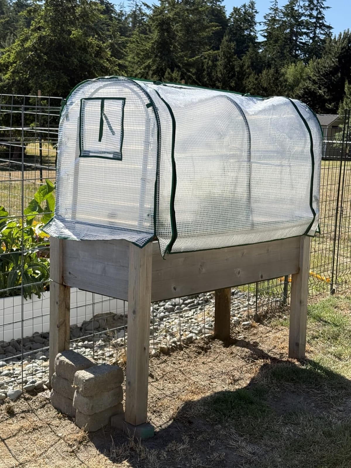 VIVOSUN 39x39x63-Inch Portable Walk-in Greenhouse, with PVC Cover & Detachable Base, Instant Pop-up and Folding, Mini Greenhouse with Roll-Up Door & Mesh Window for Indoor Outdoor, Wind Ropes Included customer photo 1