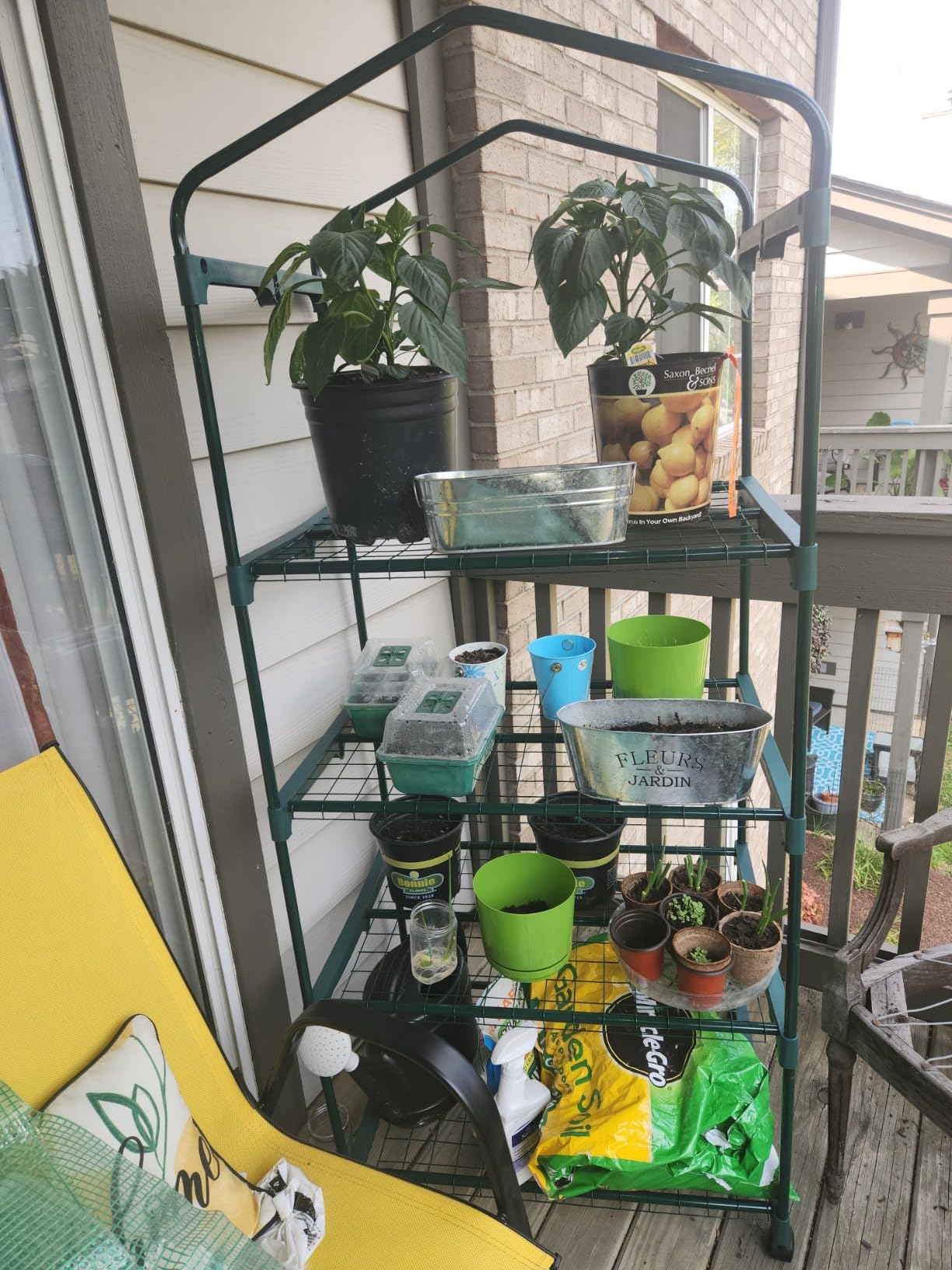 VIVOSUN 39x39x63-Inch Portable Walk-in Greenhouse, with PVC Cover & Detachable Base, Instant Pop-up and Folding, Mini Greenhouse with Roll-Up Door & Mesh Window for Indoor Outdoor, Wind Ropes Included customer photo 2