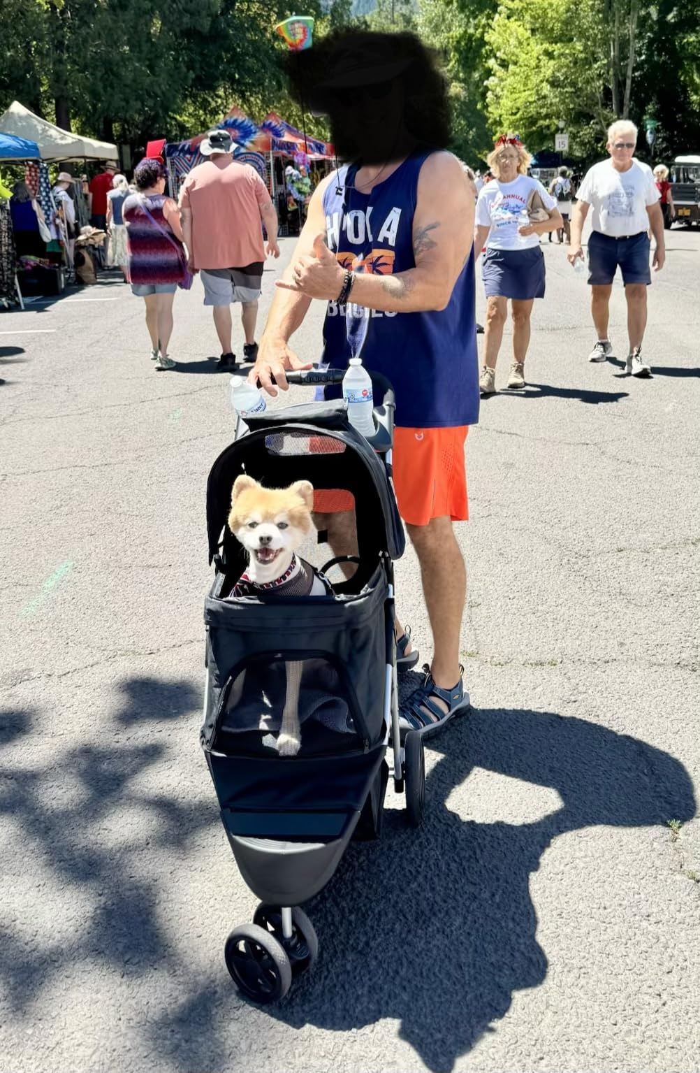 MoNiBloom Pet Stroller for Small/Medium Dogs and Cats up to 33 lbs, Blue customer photo 1