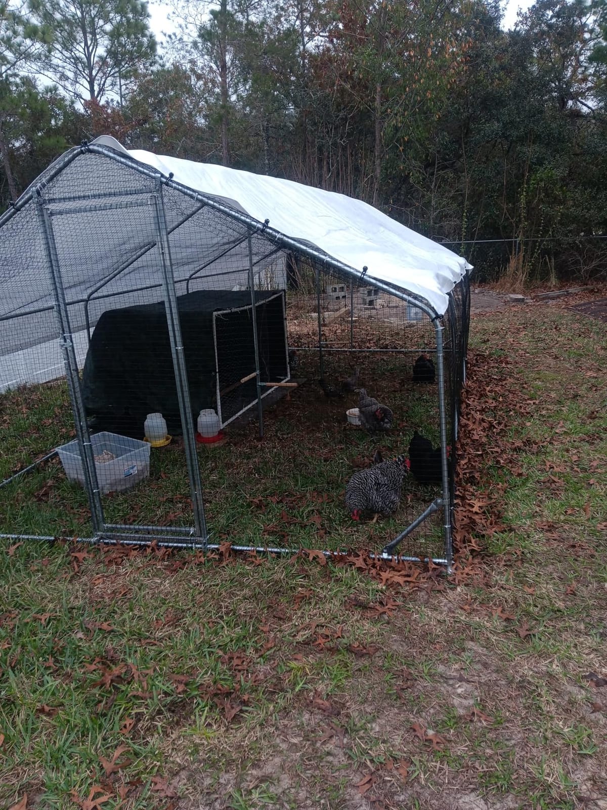CHIKENCOOP 19.5x9.8x6.5ft Metal Chicken Coop, 3-Room Run, Hardware Cloth customer photo 1