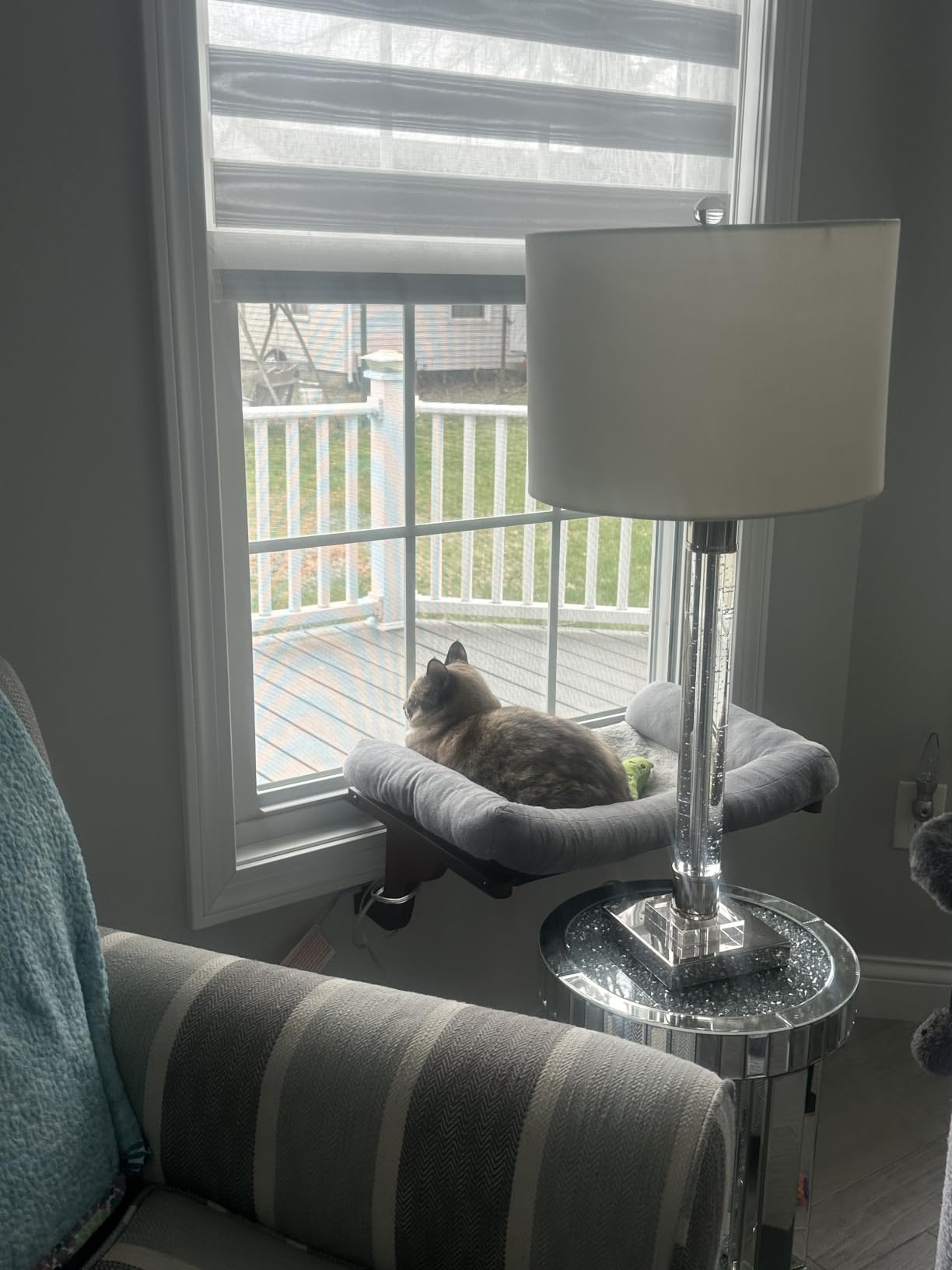 Zakkart Cat Perch for Windowsill with Bolsters (Natural Wood/Gray, L) customer photo 2