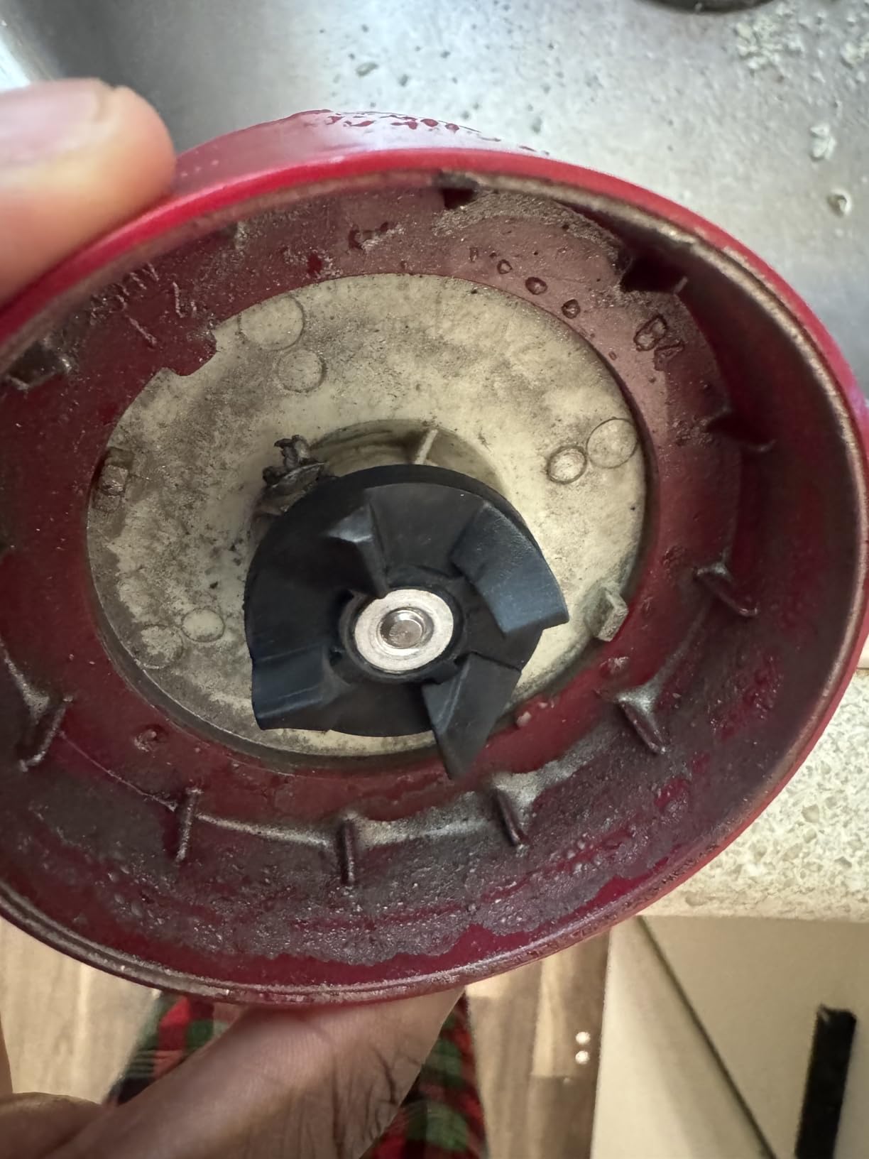 Ganiza Smoothie Blender, 900W Blenders Shakes and Smoothies customer photo 1