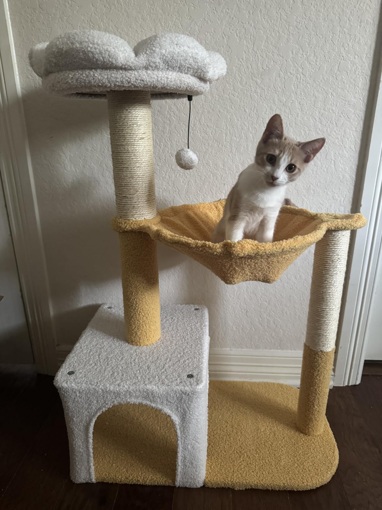 MUTTROS Flower Cat Tree with Large Metal Frame Hammock, 35