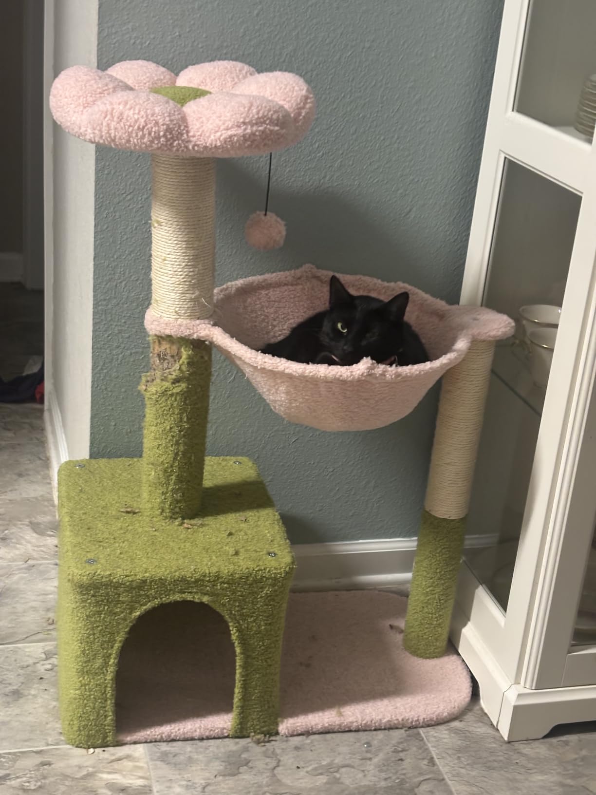 MUTTROS Flower Cat Tree with Large Metal Frame Hammock, 35