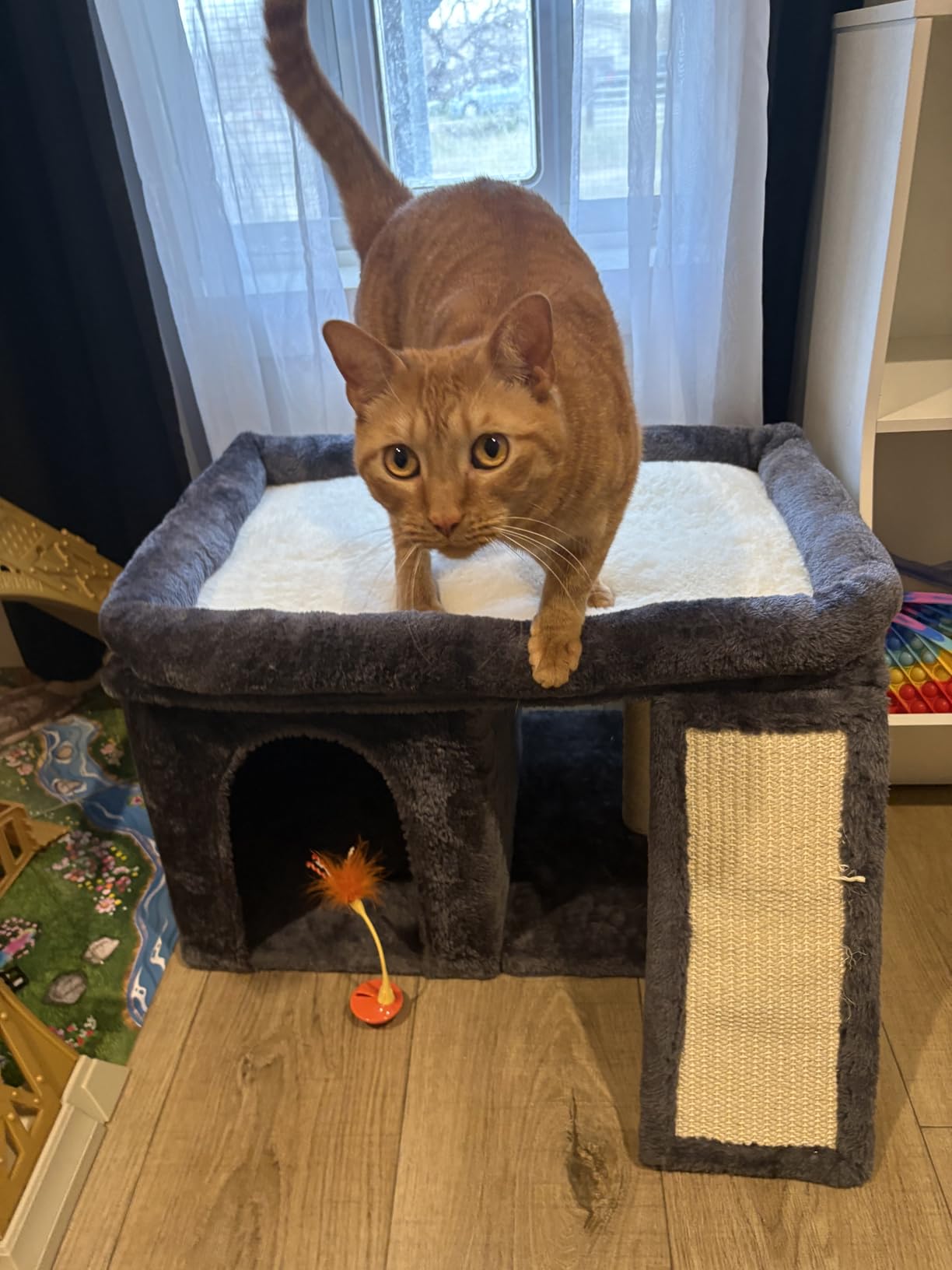 Aechonow Cat Tree for Large Cats, 20x16.5 Perch Bed for Adult Senior Cats customer photo 2