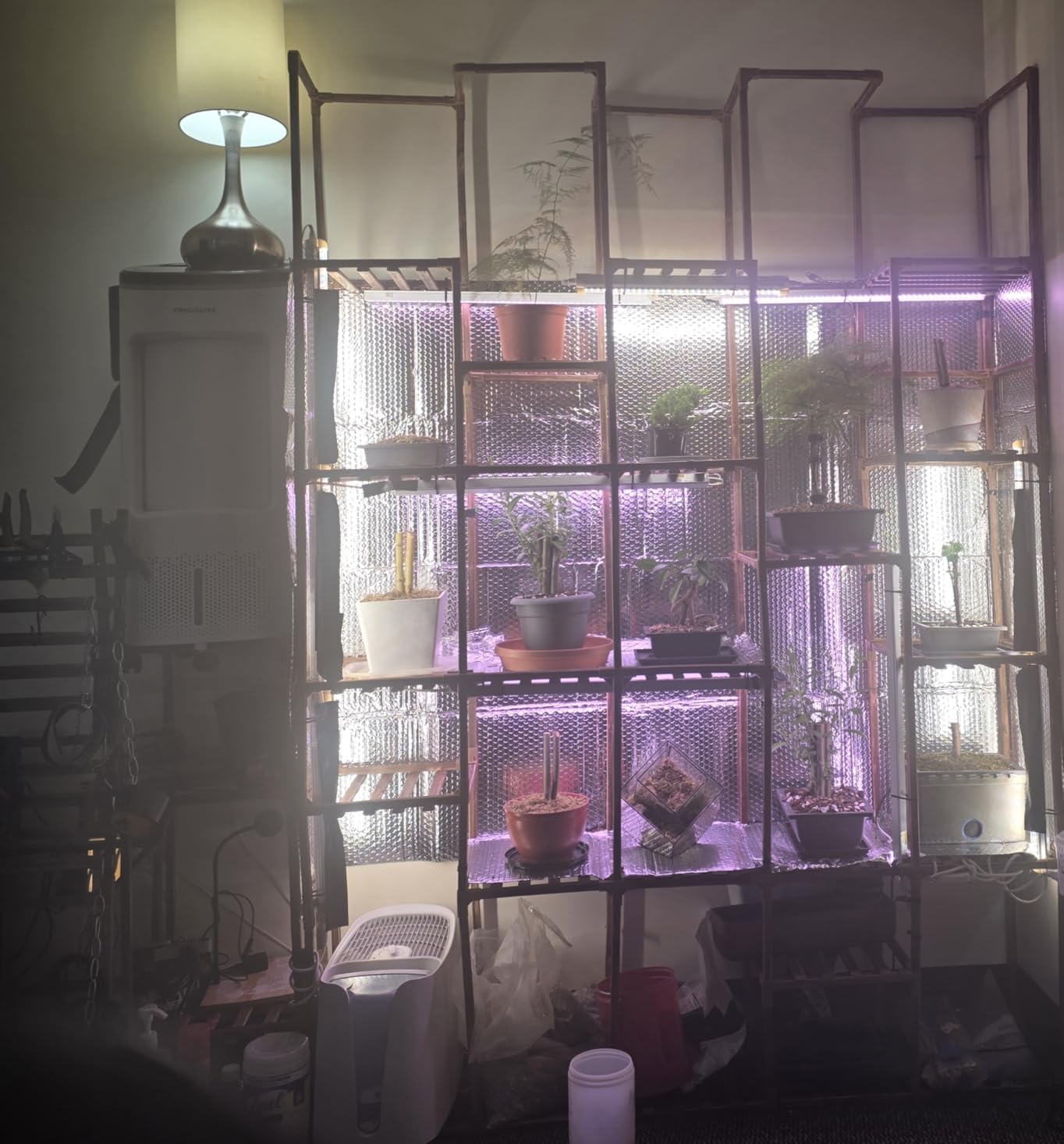 Barrina T5 Grow Lights, 5000K Full Spectrum Daylight White, 1FT, 8 Packs customer photo 1
